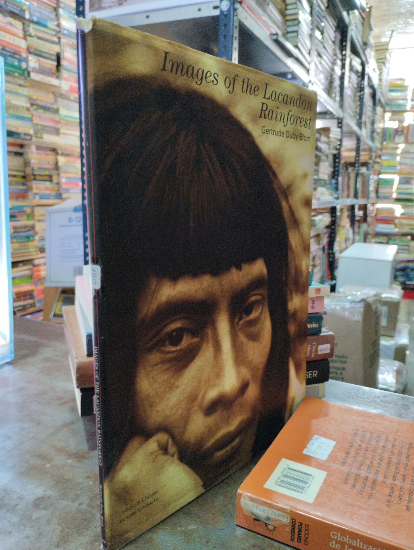IMAGES OF THE LACANDON RAINFOREST POR GERTRUDE DUBT BLOM USADO HISTORIA ALDAMA