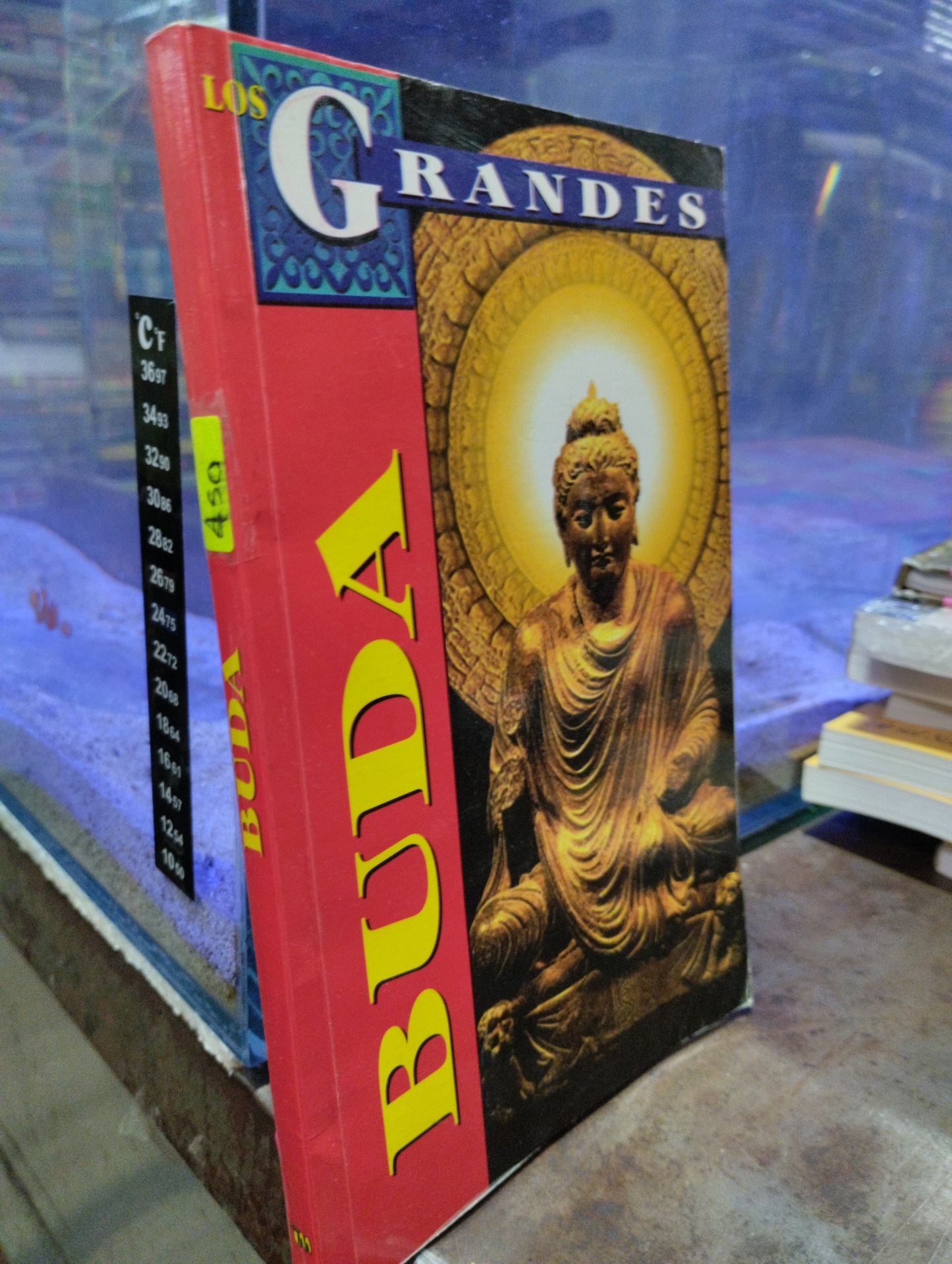 BUDA USADO HISTORIA ALDAMA