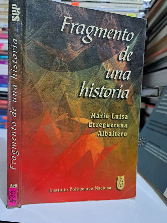 FRAGMENTO DE UNA HISTORIA MARÍA LUISA ERREGUERENA ALBAITERO USADO NOVELA JUÁREZ