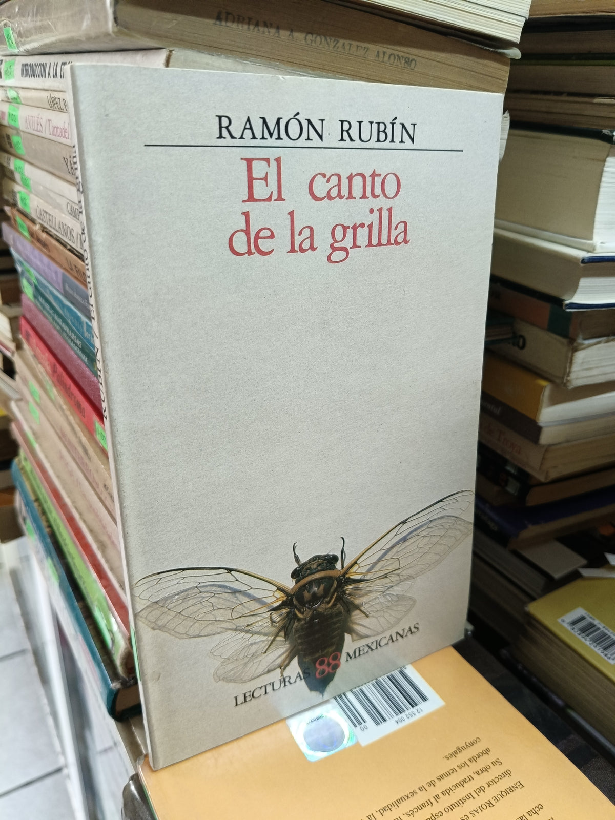 EL CANTO DE LA GRILLA POR RAMON RUBIN USADO NOVELA JUAREZ 515