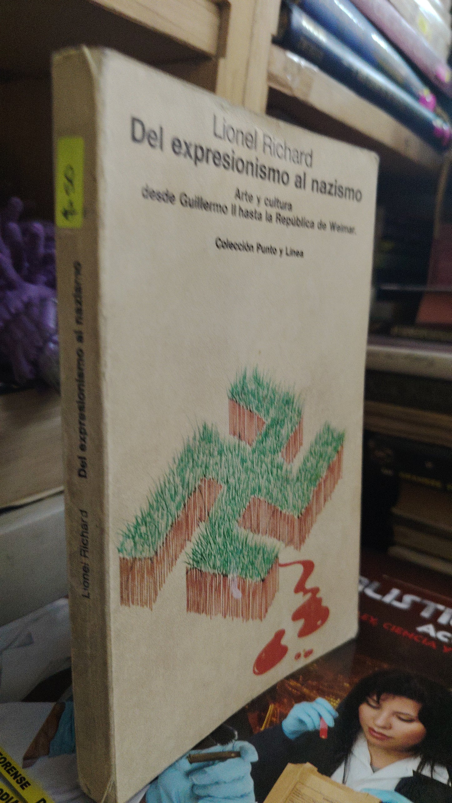 DEL EXPRESIONISMO AL NAZISMO POR LIONEL RICHARD USADO ARTE LITERARIO 207