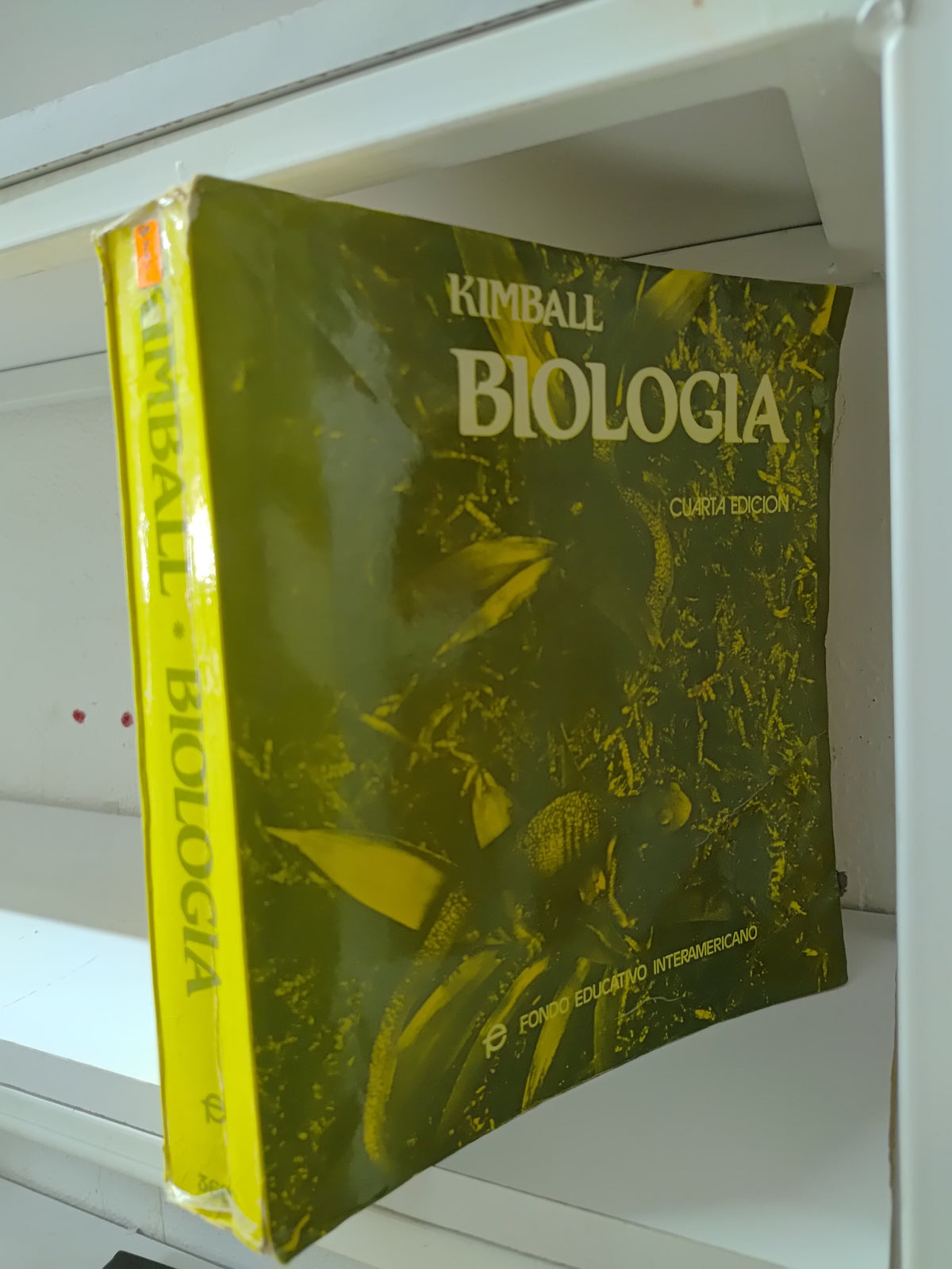 BIOLOGIA CUARTA EDICION POR KIMBALL USADO BIOLOGIA JUAREZ 515