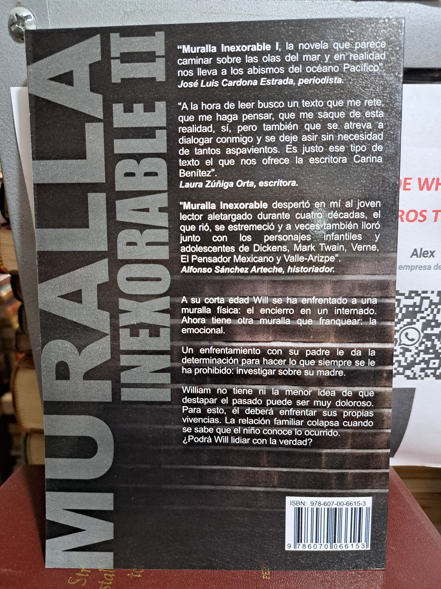 MURALLA INEXORABLE II CARINA BENÍTEZ ZAMUDIO USADO NOVELA JUÁREZ