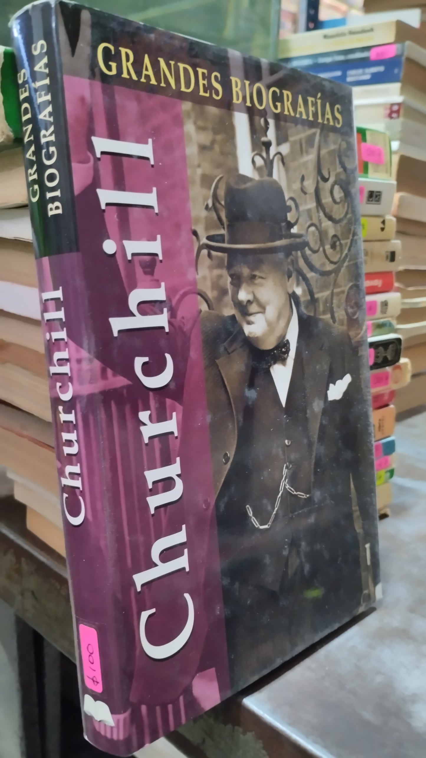 CHURCHILL LIBRO USADO HISTORIA ALDAMA