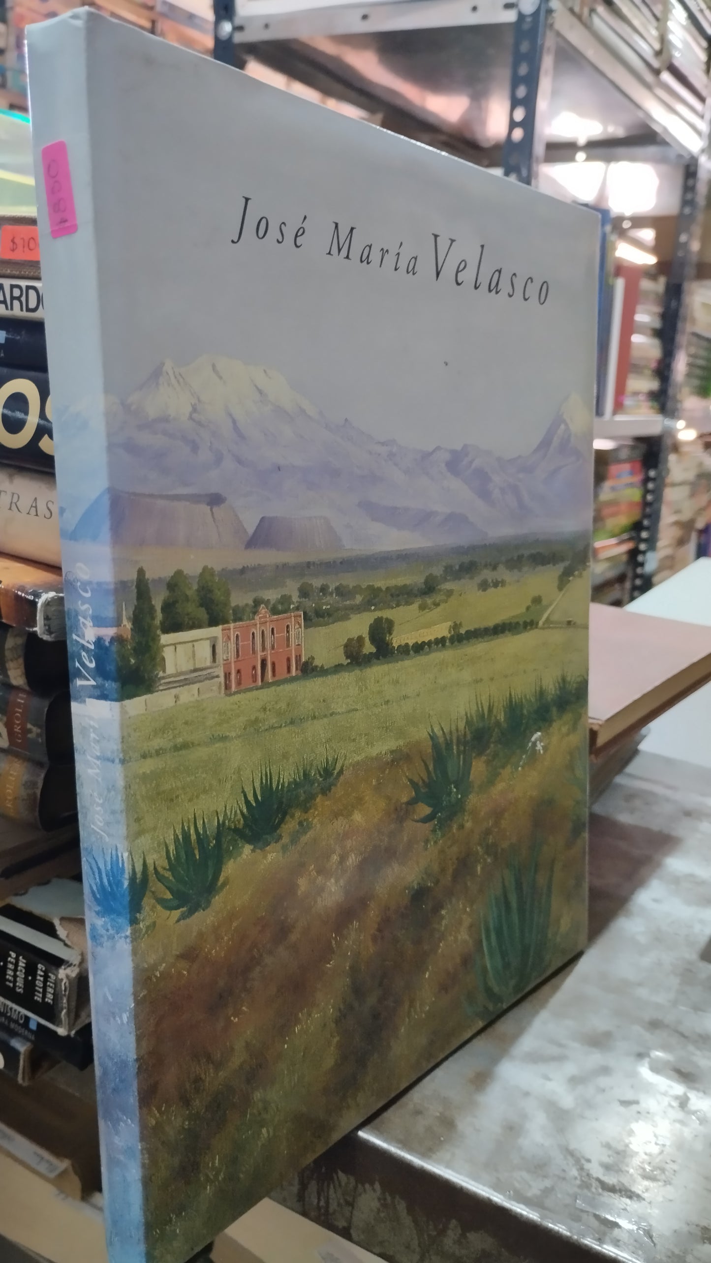 JOSE MARIA VELASCO LIBRO USADO ARTE ALDAMA