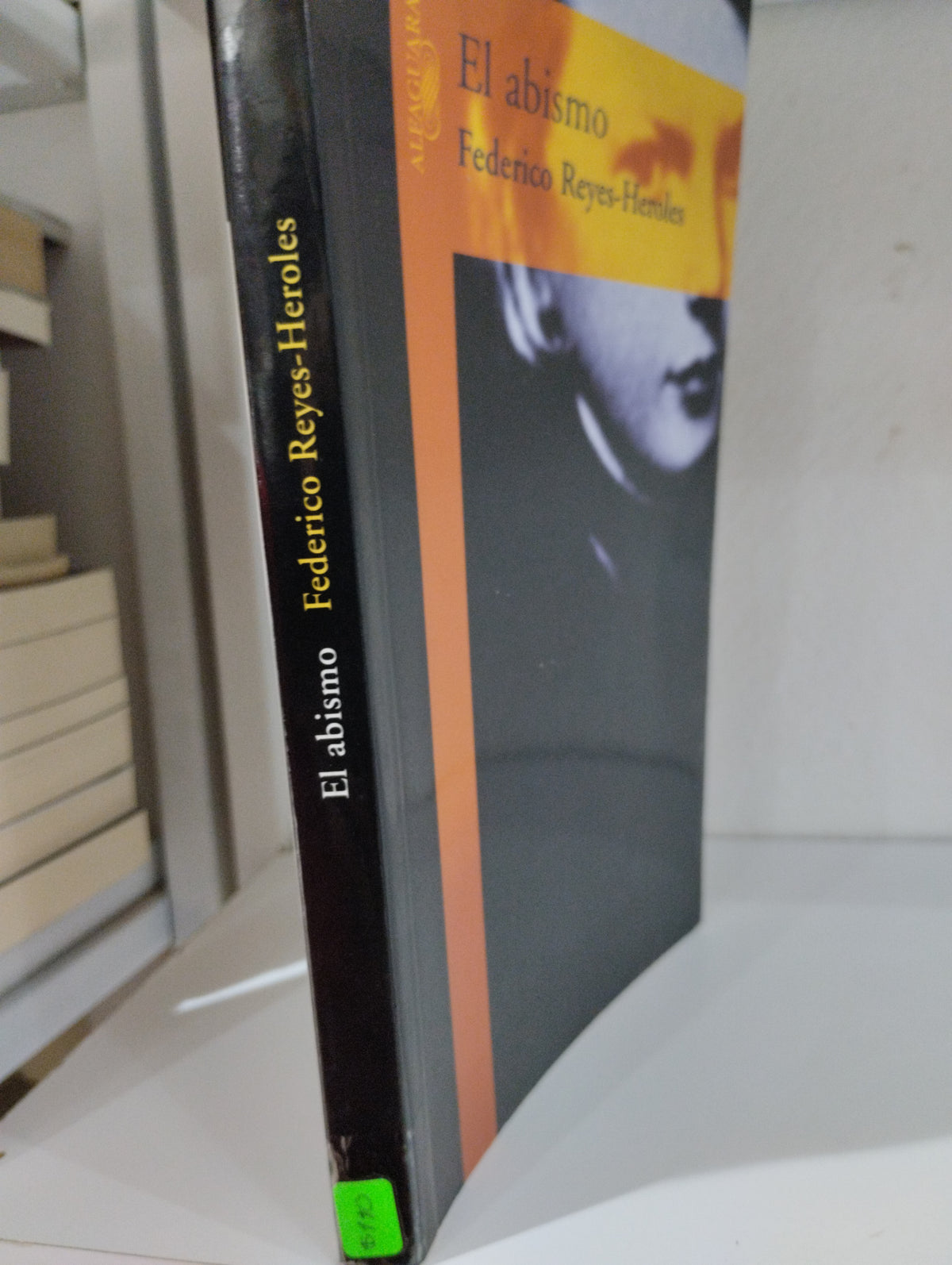 EL ABISMO FEDERICO REYES GARCIA USADO NOVELAS JUAREZ 515