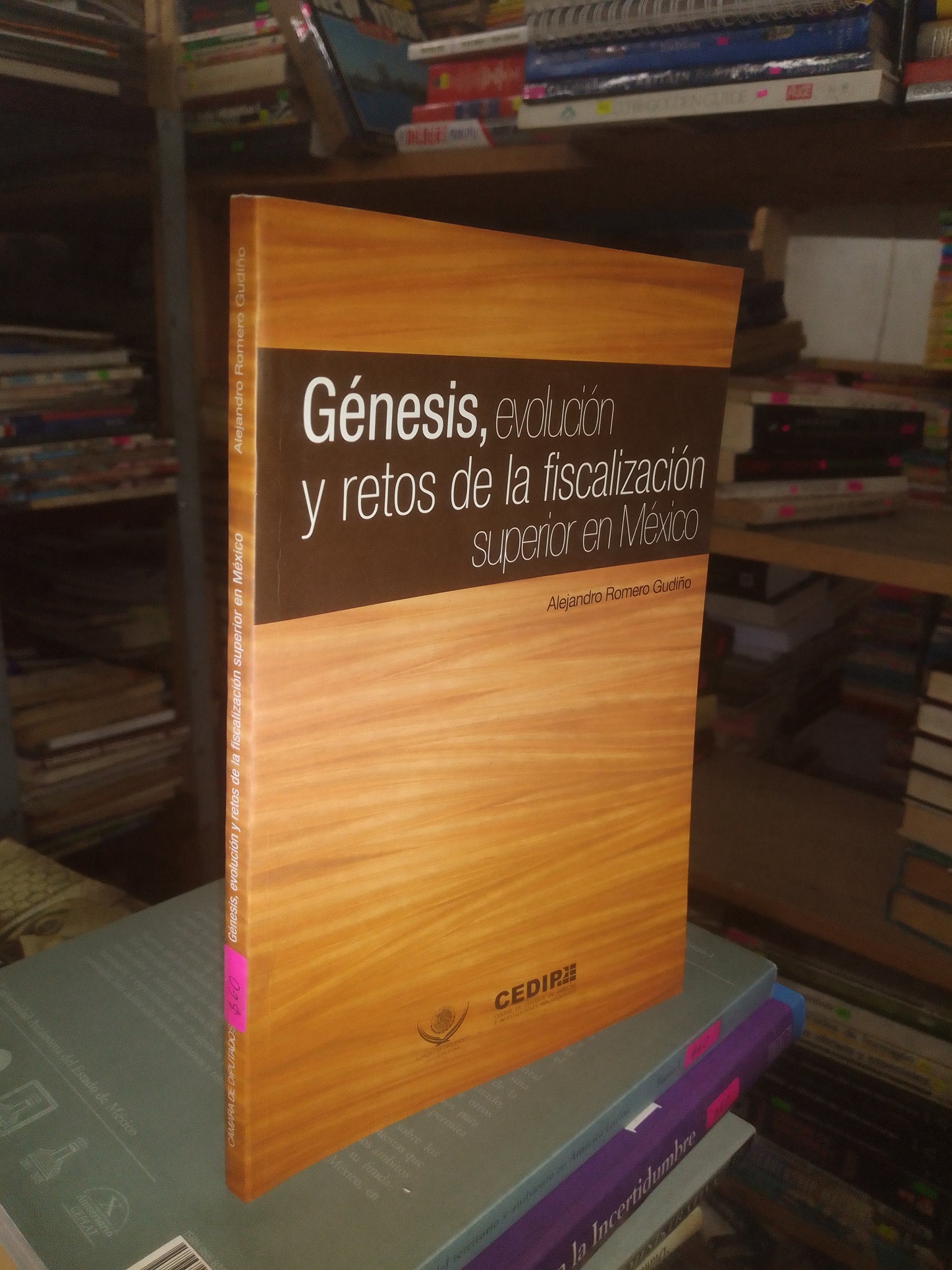 GÉNESIS, EVOLUCIÓN Y RETOS DE LA FISCALIZACIÓN SUPERIOR EN MÉXICO POR ALEJANDRO ROMERO GUDIÑO USADO DERECHO LITERARIO 207