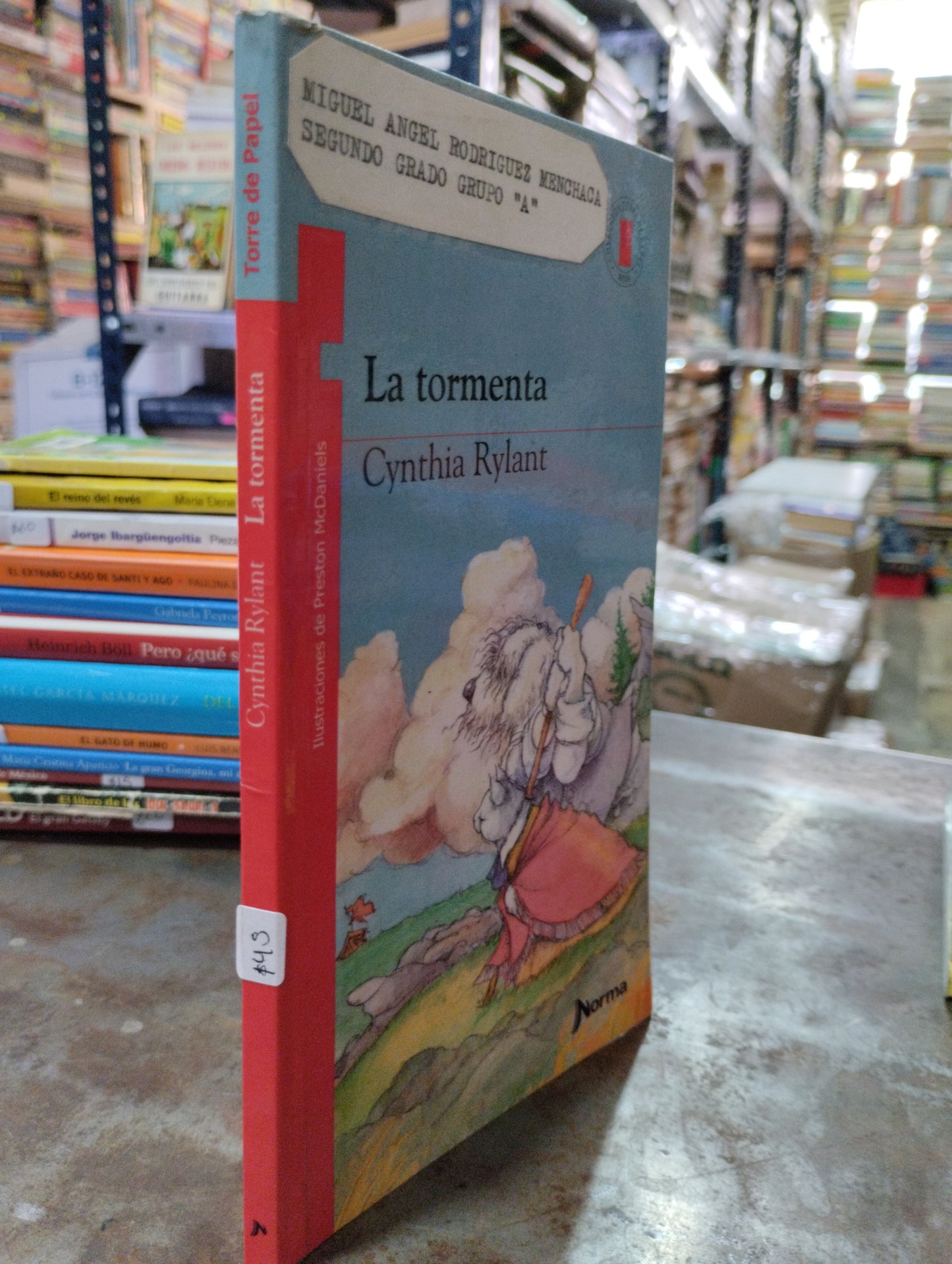 LA TORMENTA POR CYNTHIA RYLANT USADO INFANTIL ALDAMA
