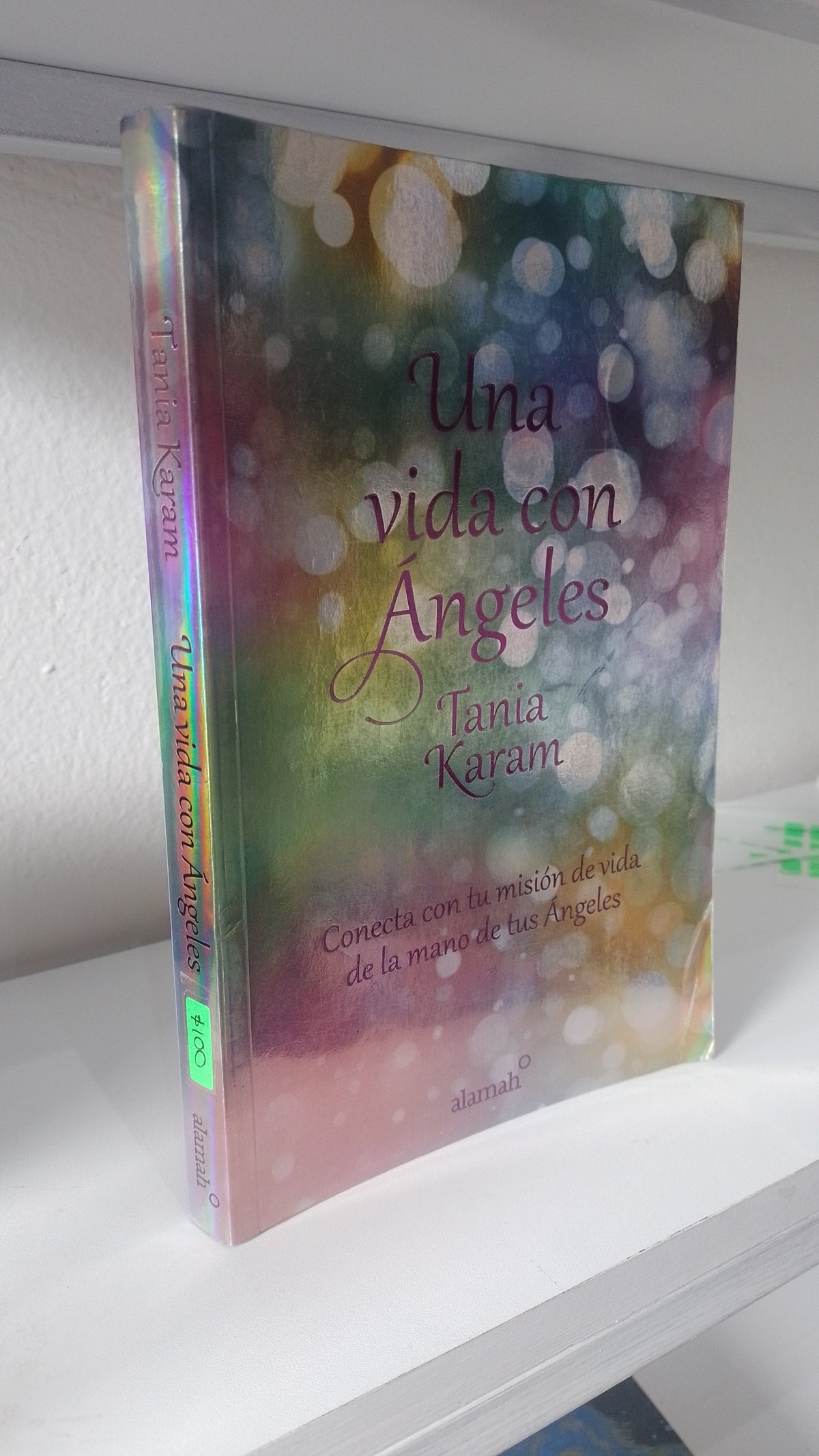 UNA VIDA CON ANGELES POR TANIA KARAM USADO ESOTERISMO JUAREZ 515