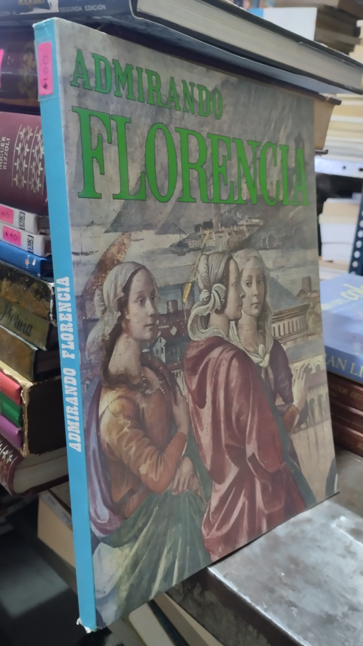 ADMIRANDO FLORENCIA LIBRO USADO ARTE ALDAMA