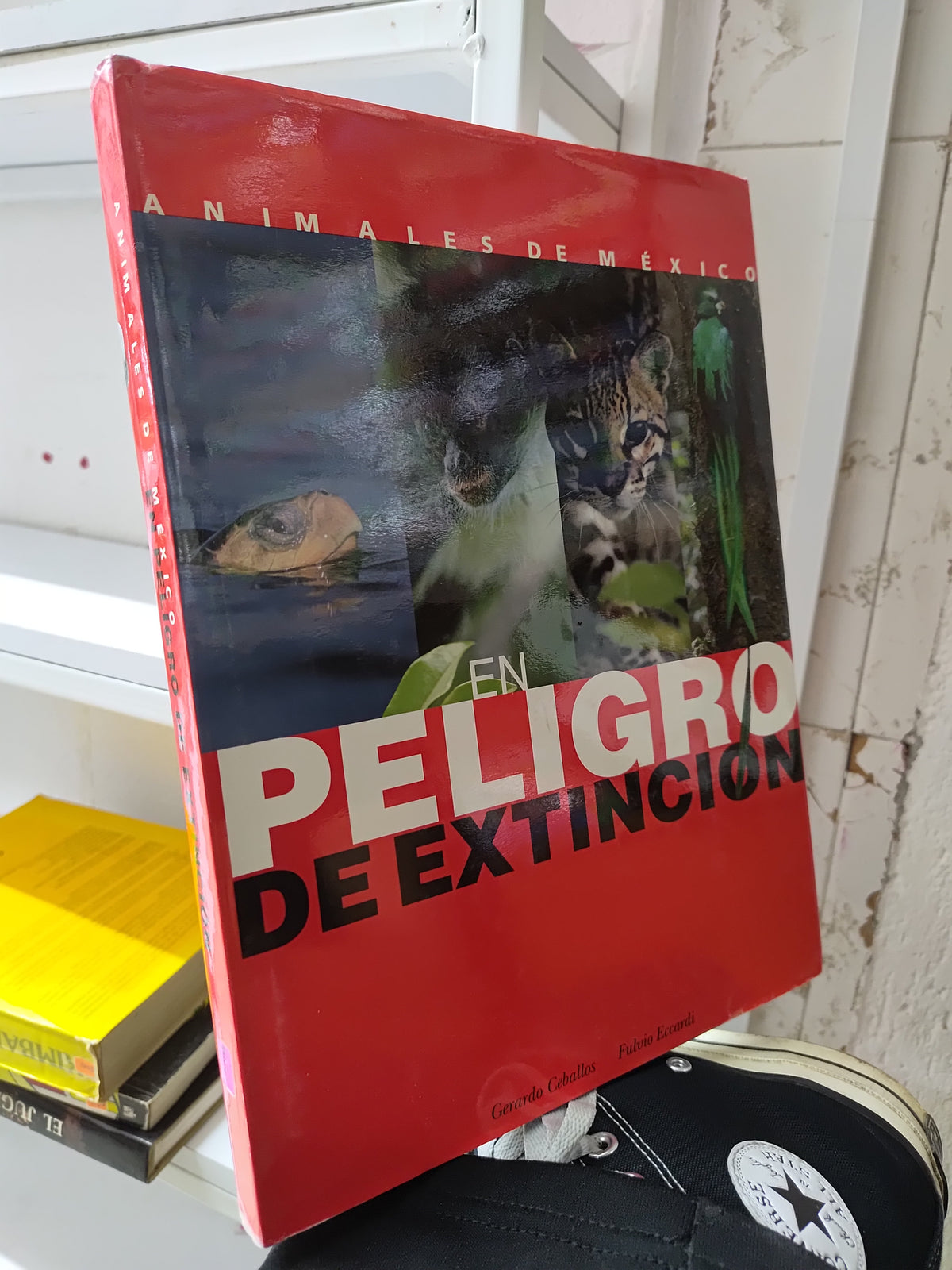 EN PELIGRO DE EXTINCION POR GERARDO CEBALLOS USADO BIOLOGIA JUAREZ 515