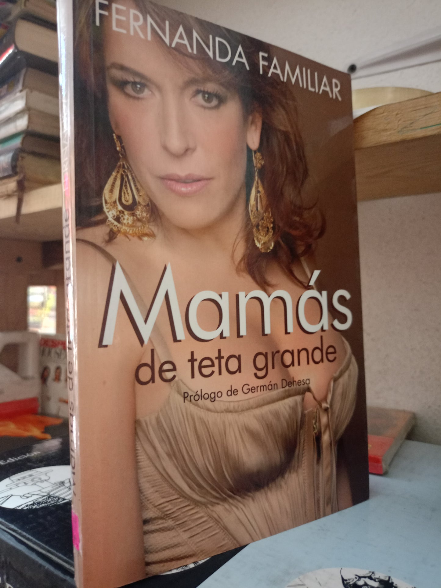 MAMAS DE TETA GRANDE POR FERNANDA FAMILIAR USADO NOVELA LITERARIO 305