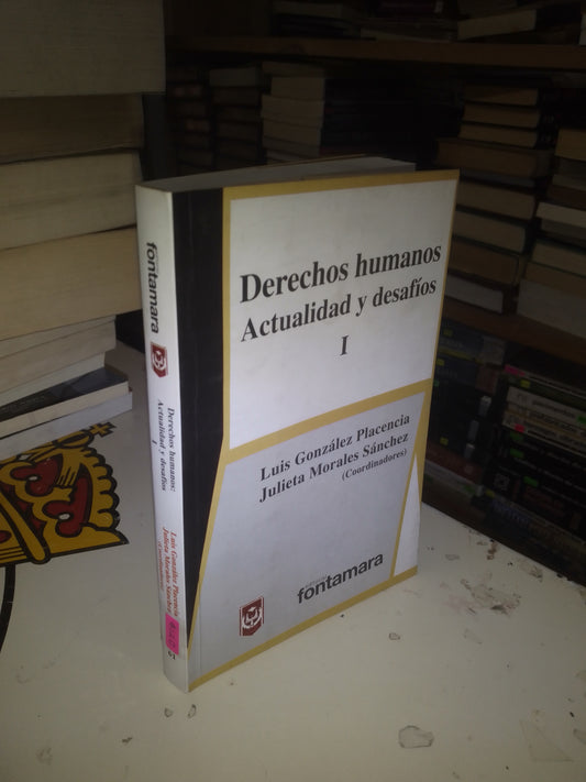 DERECHOS HUMANOS,  ACTUALIDAD Y DESAFÍOS I COORDINADO POR LUIS GONZÁLEZ PLACENCIA Y JULIETA MORALES SÁNCHEZ USADO DERECHO LITERARIO 207