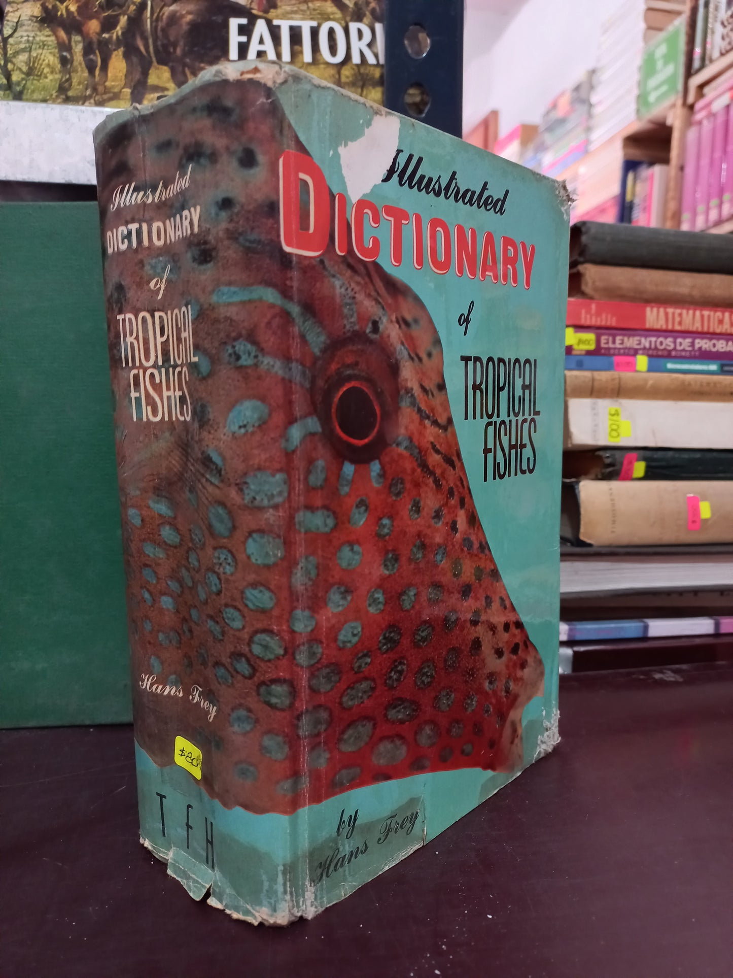 ILLUSTRATED DICTIONARY OF TROPICAL FISHES POR HANS FREY USADO BIOLOGÍA LITERARIO 305