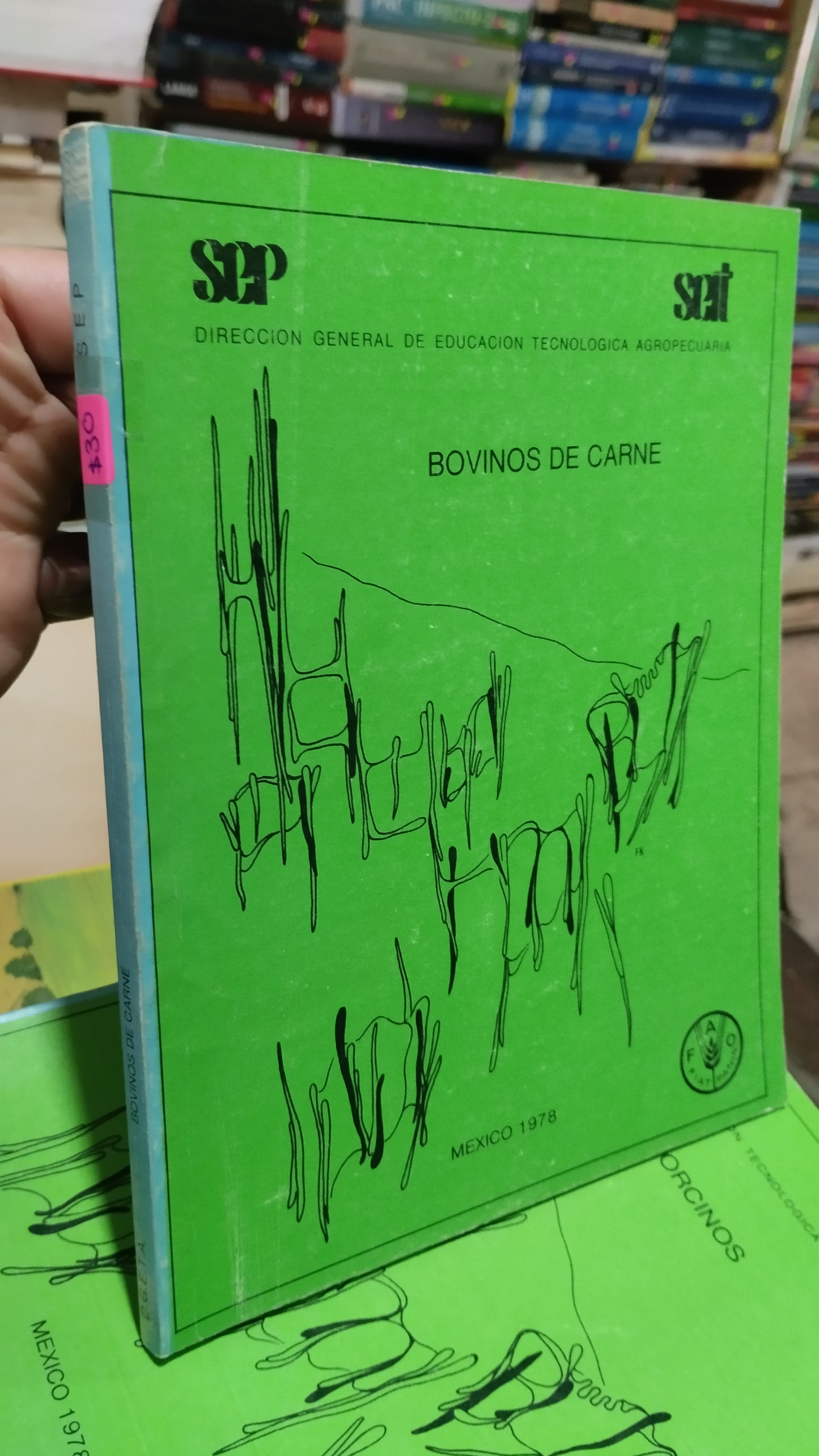 BOVINOS DE CARNE LIBRO USADO AGRICULTURA ALDAMA