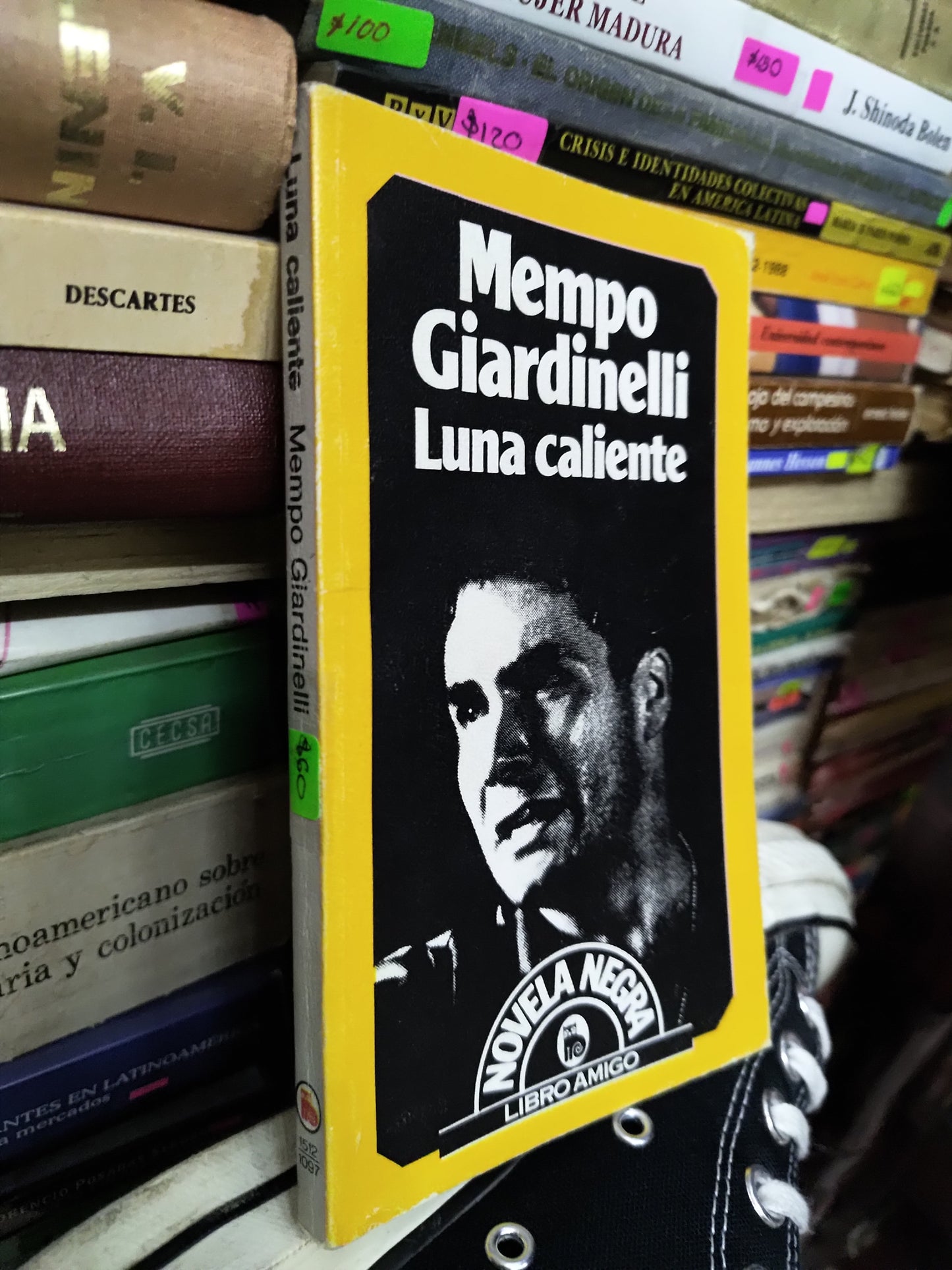 LUNA CALIENTE POR MEMPO GIARDINELLI USADO NOVELAS LITERARIO 207