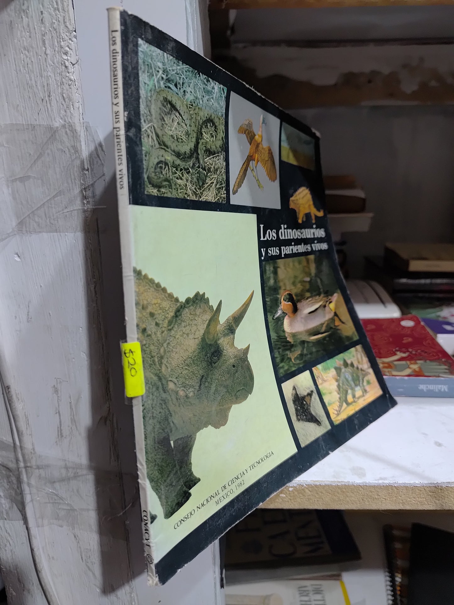 LOS DINOSAURIOS Y SUS PARIENTES VIVOS POR EDITORIAL CONACYT USADO INFANTILES JUAREZ