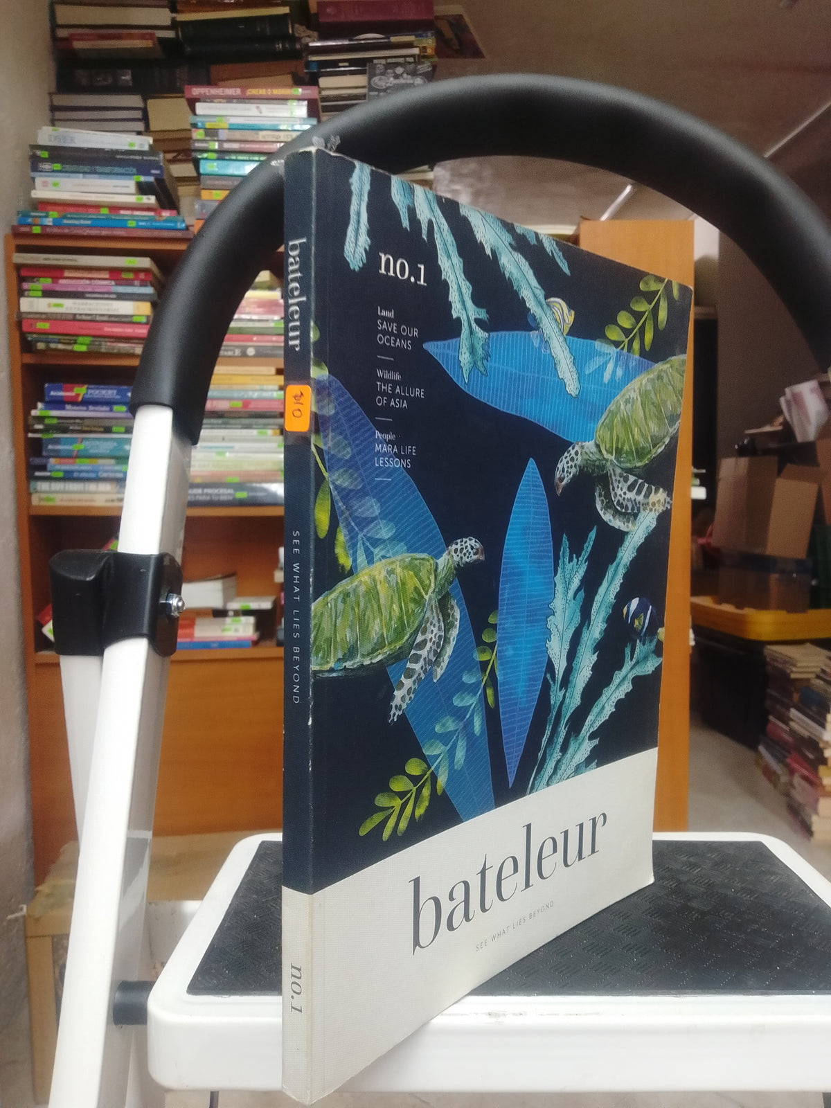 BATELEUR SEE WHAT LIES BEYOND USADO BIOLOGIA JUAREZ 515