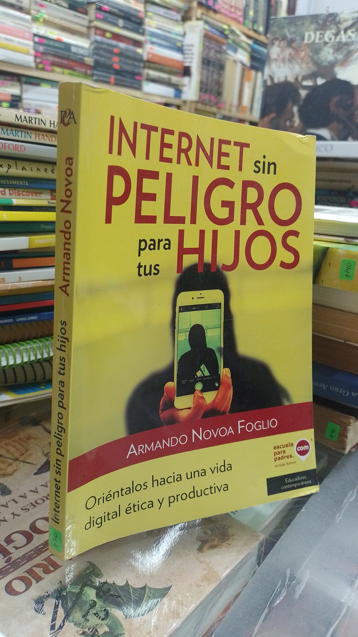 INTERNET SIN PELIGRO PARA TUS HIJOS POR ARMANDO NONOA FOGLIO USADO PSICOLOGIA JUAREZ 507