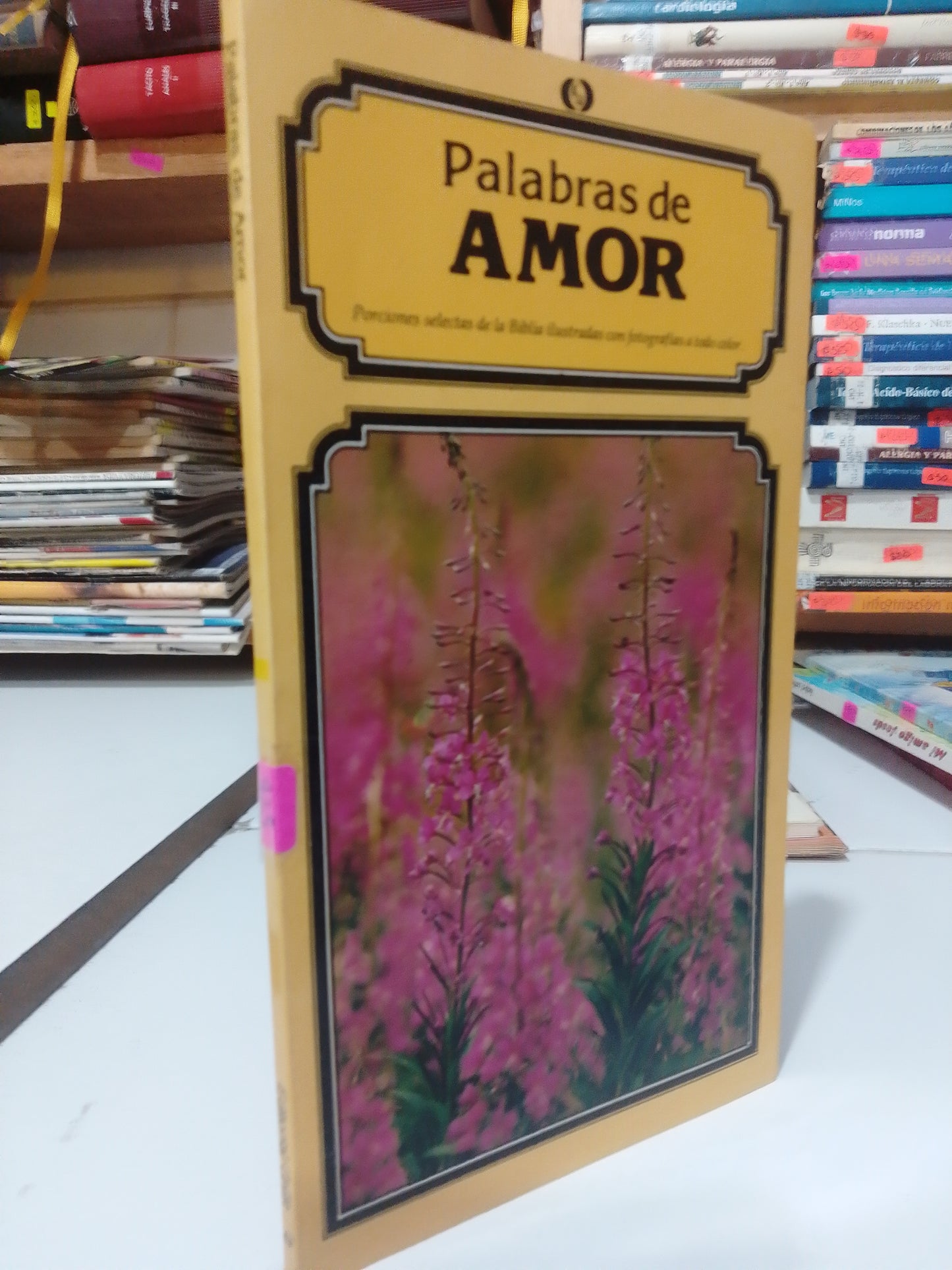 PALABRAS DE AMOR USADO RELIGION JUAREZ