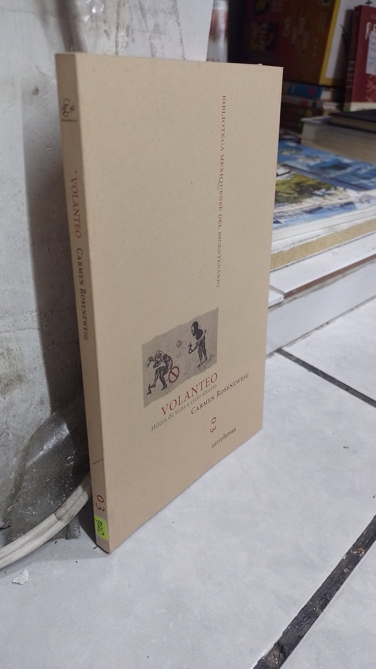 VOLANTEO POR CARMEN RESENZWEIG USADO NOVELA JUAREZ 515