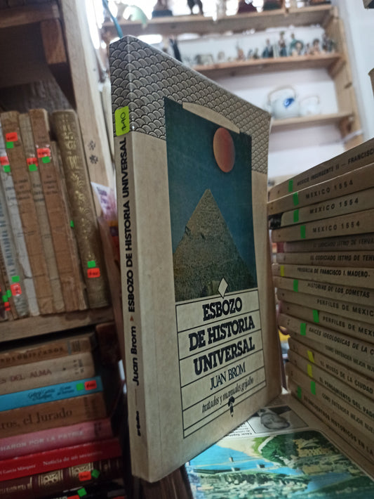 ESBOZO DE HISTORIA UNIVERSAL POR JUAN BROM USADO HISTORIA ALDAMA