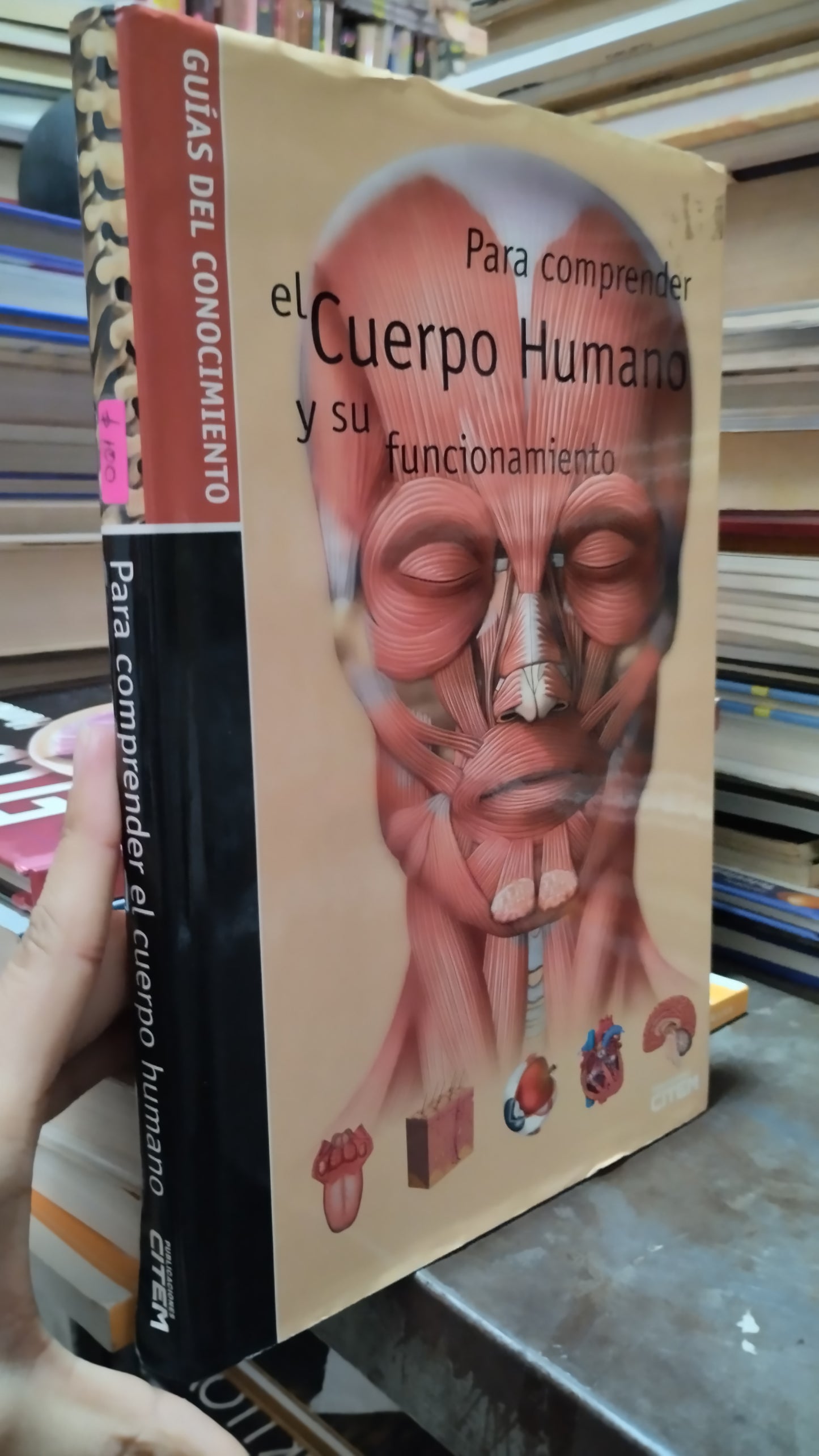 PARA COMPRENDER EL CUERPO HUMANO Y SU FUNCIONAMIENTO LIBRO USADO SALUD ALDAMA