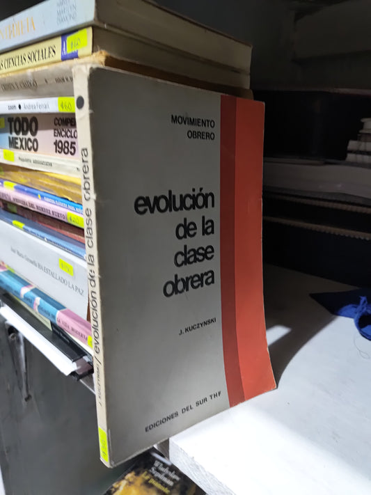 EVOLUCION DE LA CLASE OBRERA POR J.KUCZYNSKI USADO HISTORIA JUAREZ