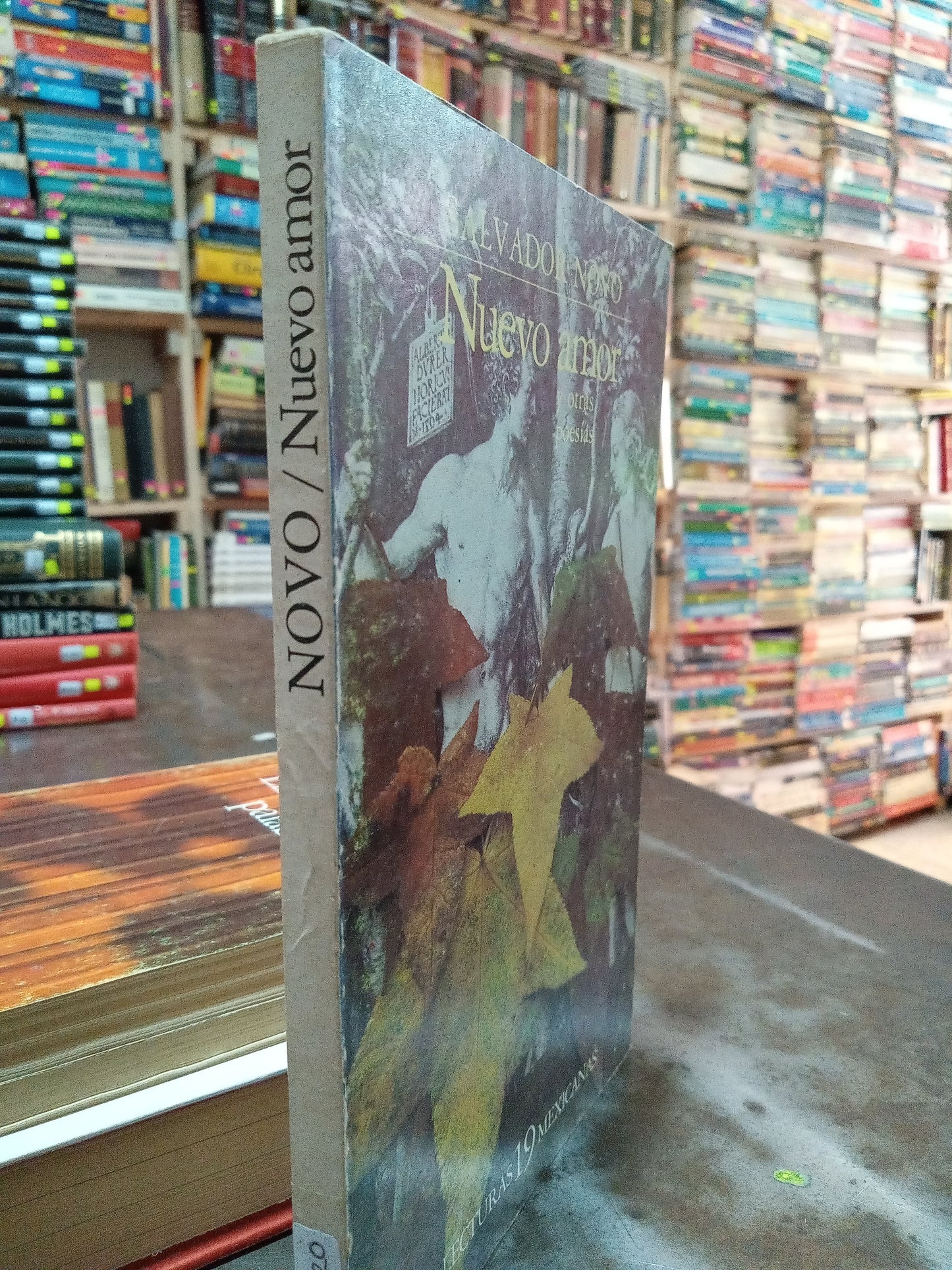 NUEVO AMOR Y OTRAS POESIAS POR SALVADOR NOVO LIBRO USADO NOVELA ALDAMA