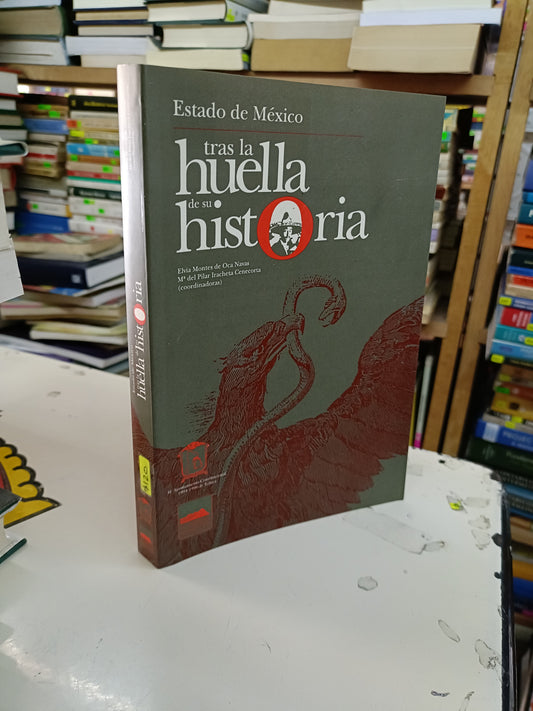 ESTADO DE MÉXICO TRAS LA HUELLA DE SU HISTORIA COORDINADO POR OCA NAVAS E IRACHETA GENECORTA USADO HISTORIA LITERARIO 207