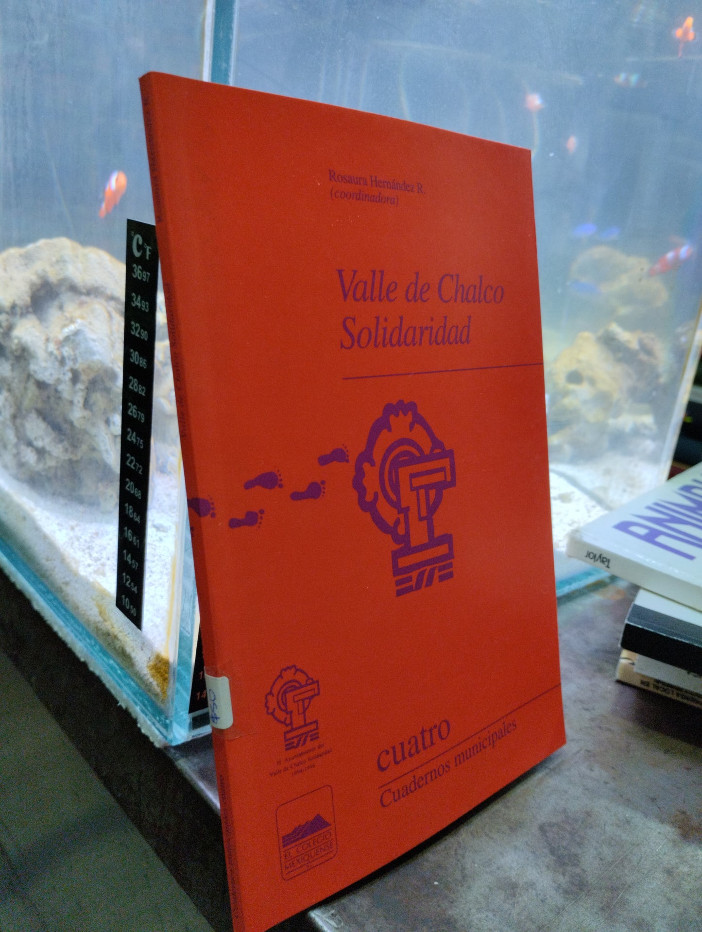 VALLE DE CHALCO SOLIDARIDAD POR ROSAURA HERNANDEZ USADO HISTORIA ALDAMA