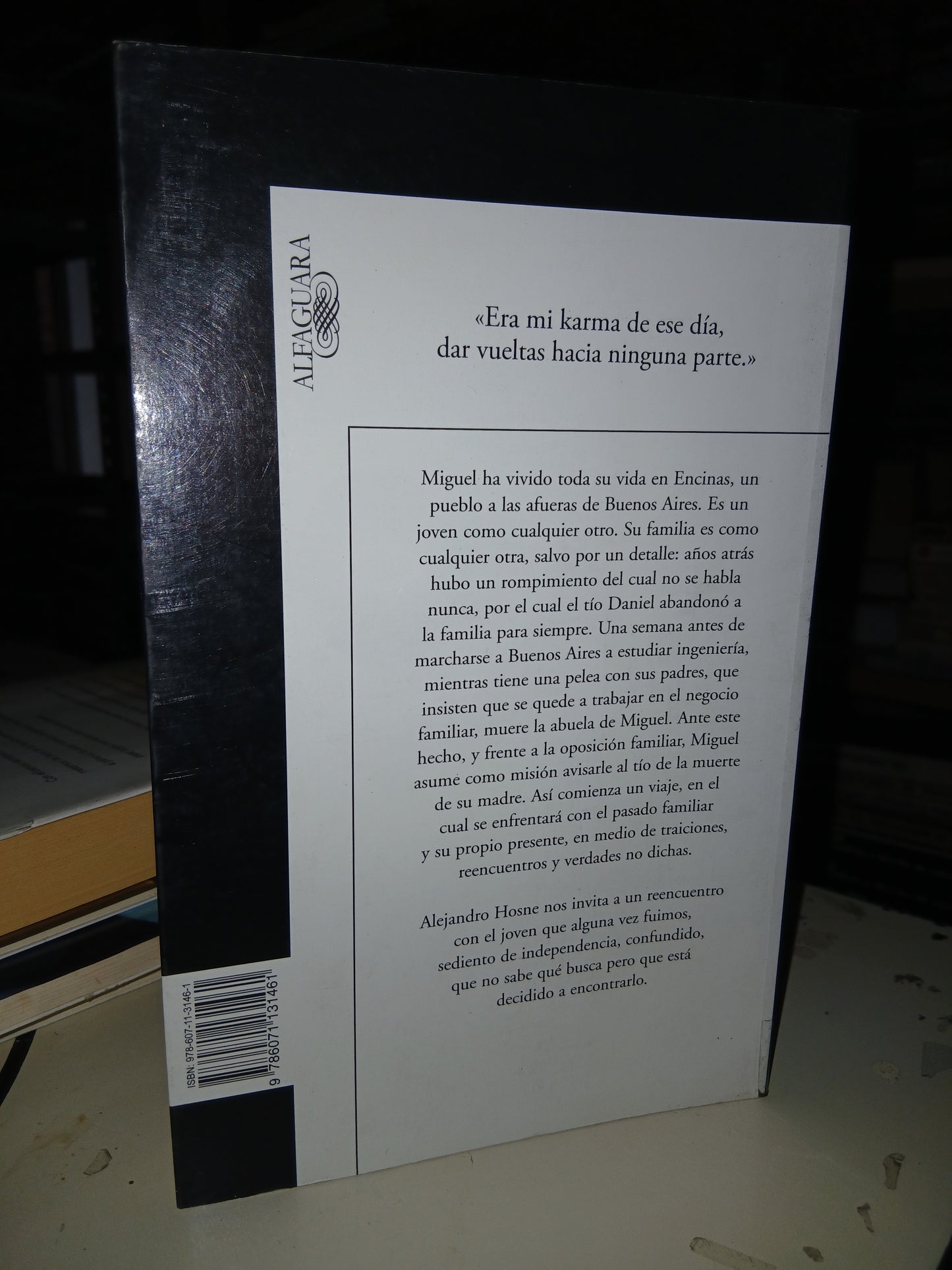 TODO LO DEMÁS ES MENTIRA POR ALEJANDRO HOSNE USADO NOVELA LITERARIO 207