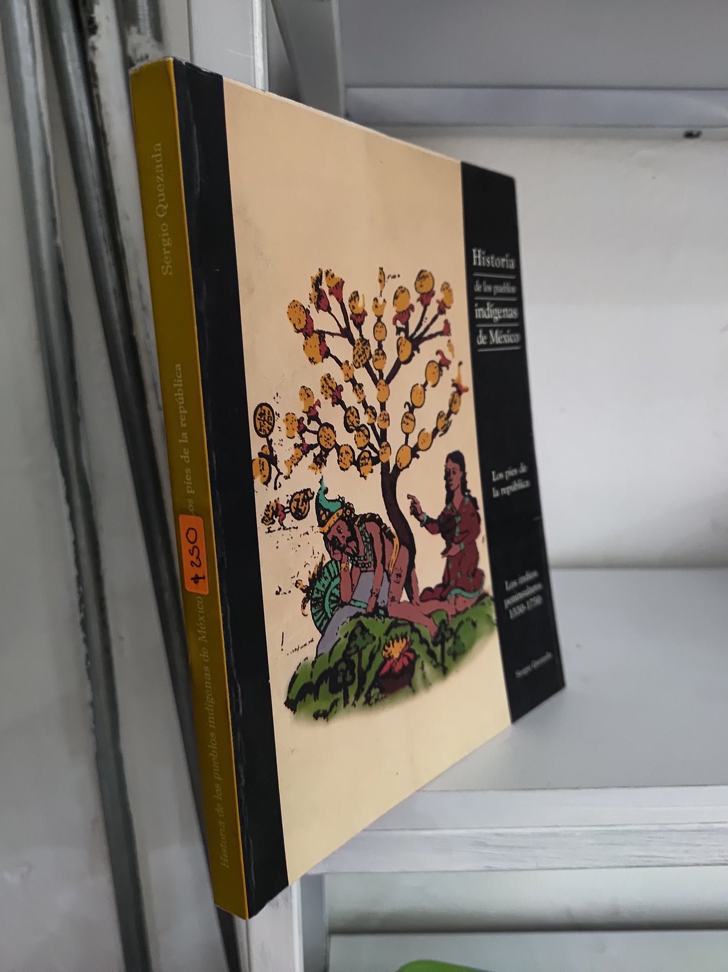 HISTORIA DE LOS PUEBLOS INDIGENAS DE MEXICO LOS PIES DE LA REPUBLICA POR SERGIO QUEZADA USADO NOVELAS JUAREZ 515