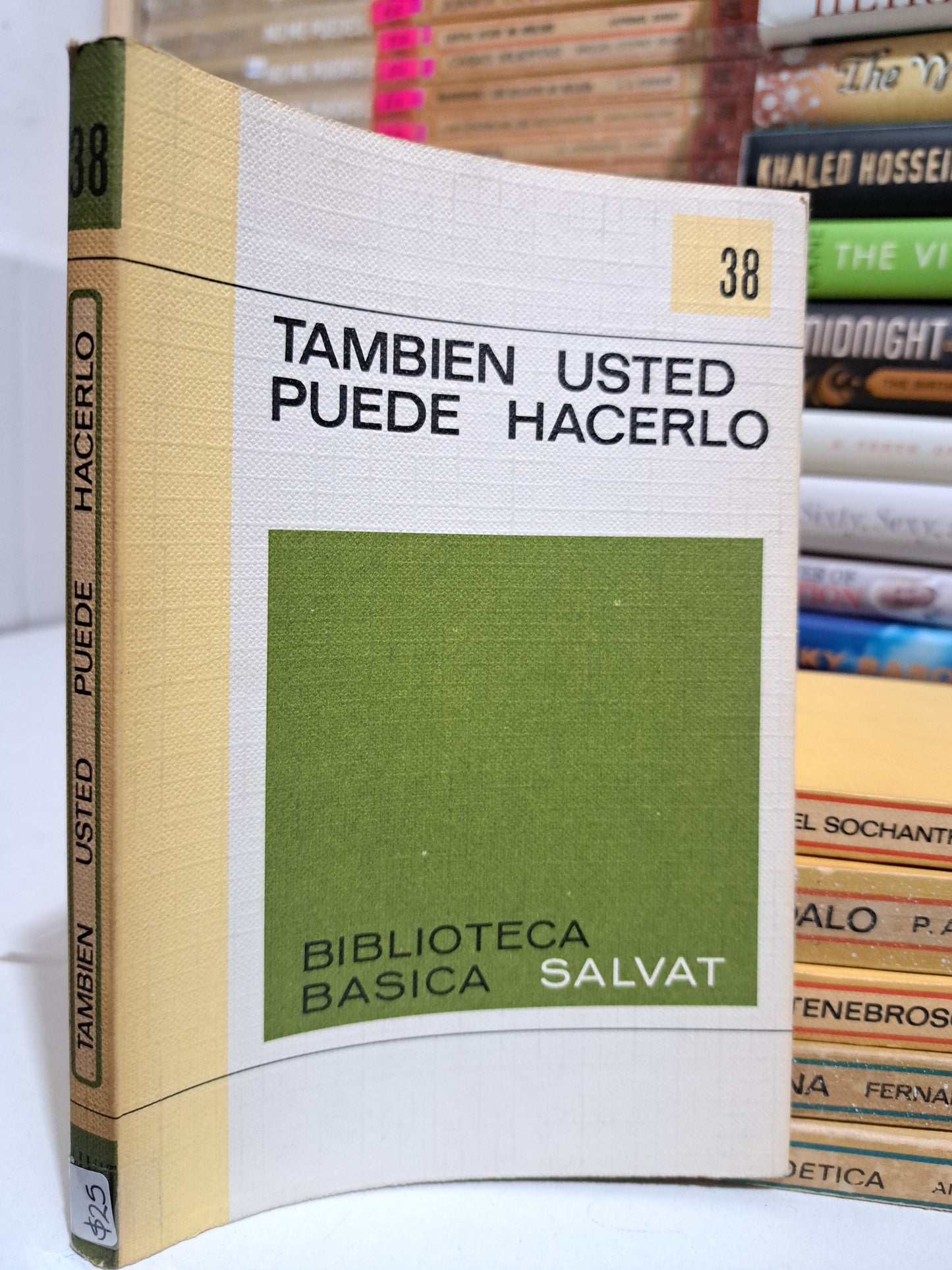 TAMBIÉN USTED PUEDE HACERLO USADO NOVELA JUÁREZ