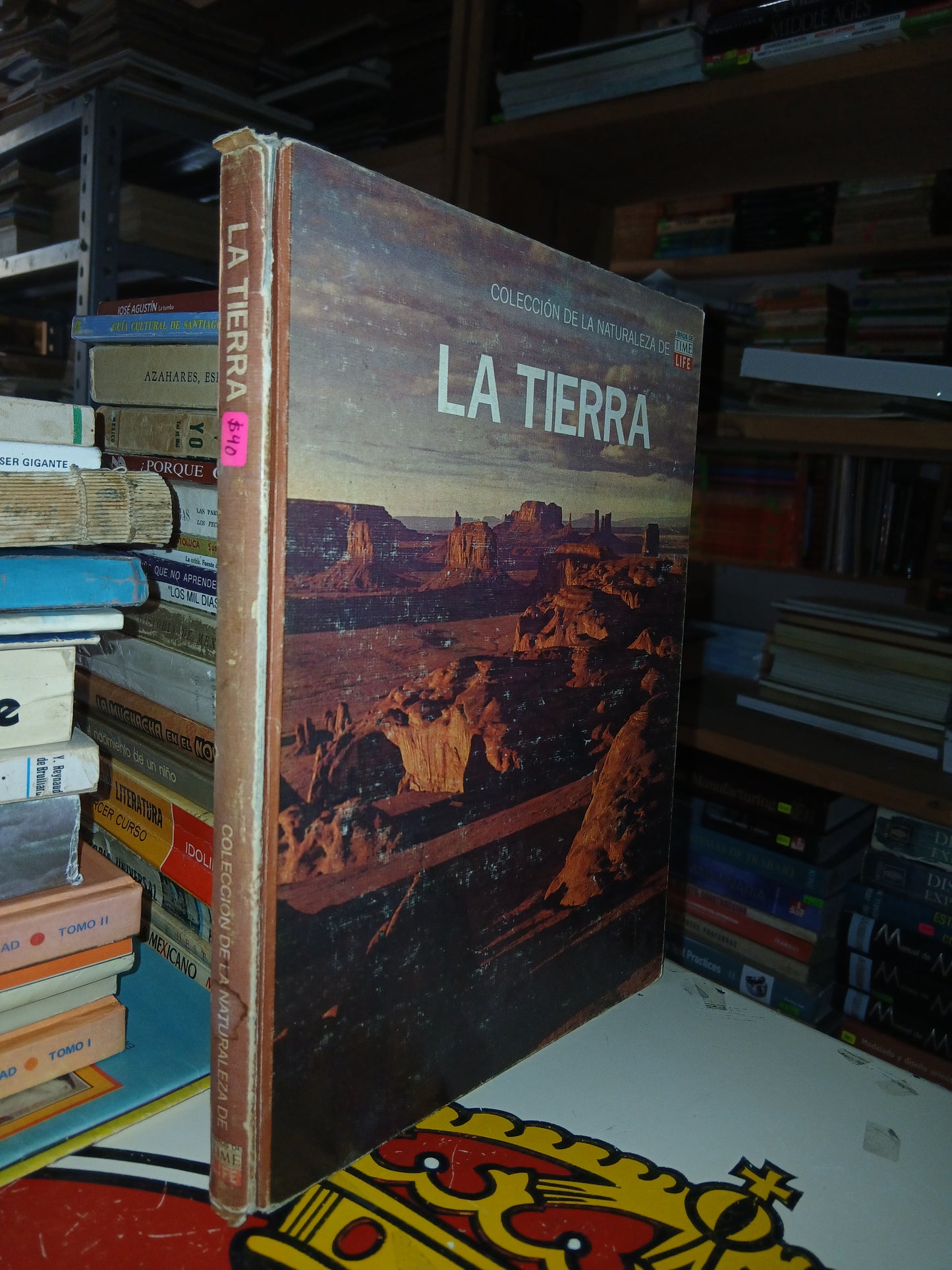 LA TIERRA POR ARTHUR BEISER USADO NOVELA LITERARIO 207