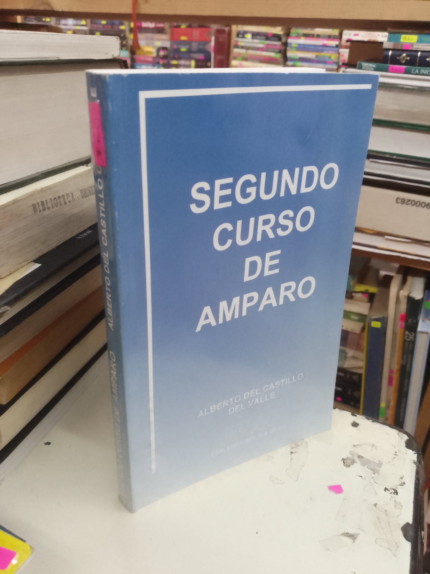 SEGUNDO CURSO DE AMPARO POR ALBERTO DEL CASTILLO DEL VALLE USADO DERECHO LITERARIO 207