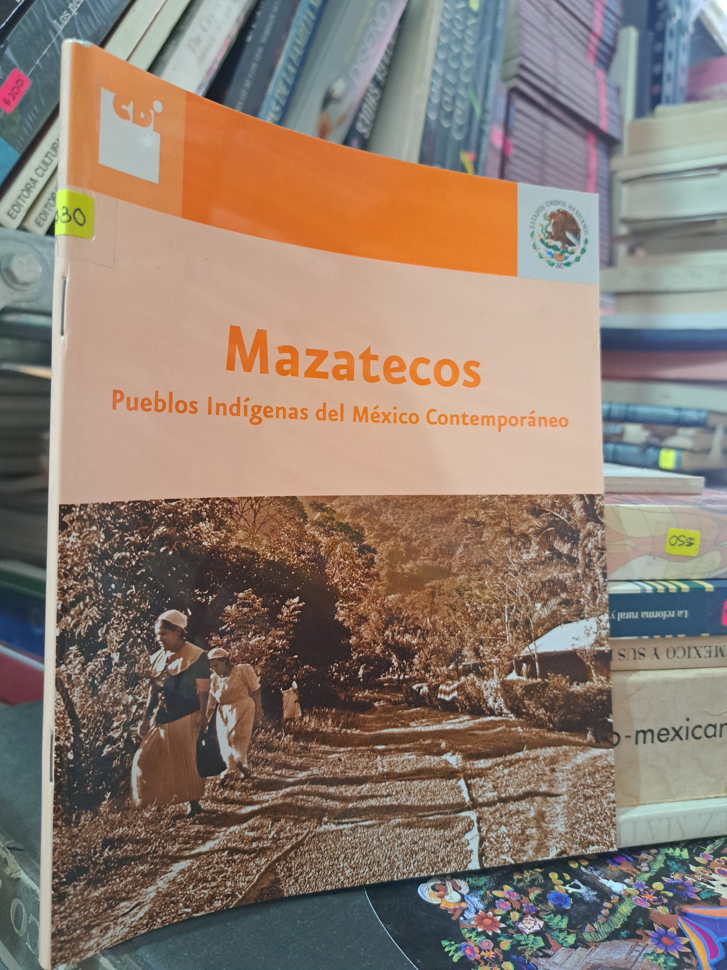 COLECCIÓN PUEBLOS INDÍGENAS DEL MÉXICO CONTEMPORÁNEO GOBIERNO DEL ESTADO DE MÉXICO USADO HISTORIA LITERARIO 305