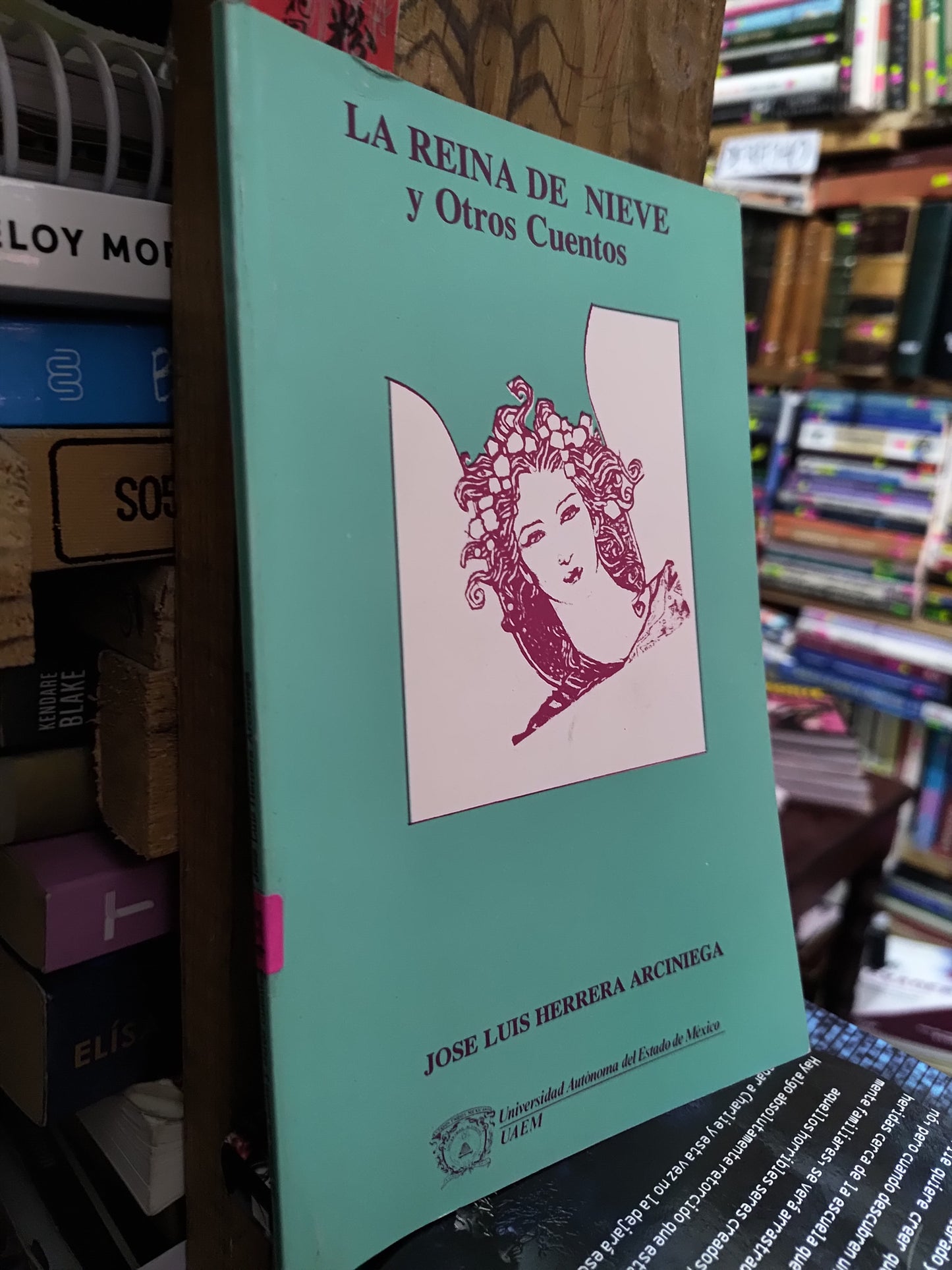 LA REINA DE NIEVE Y OTROS CUENTOS POR JOSE LUIS HERRERA ARCINIEGA USADO NOVELAS LITERARIO 305