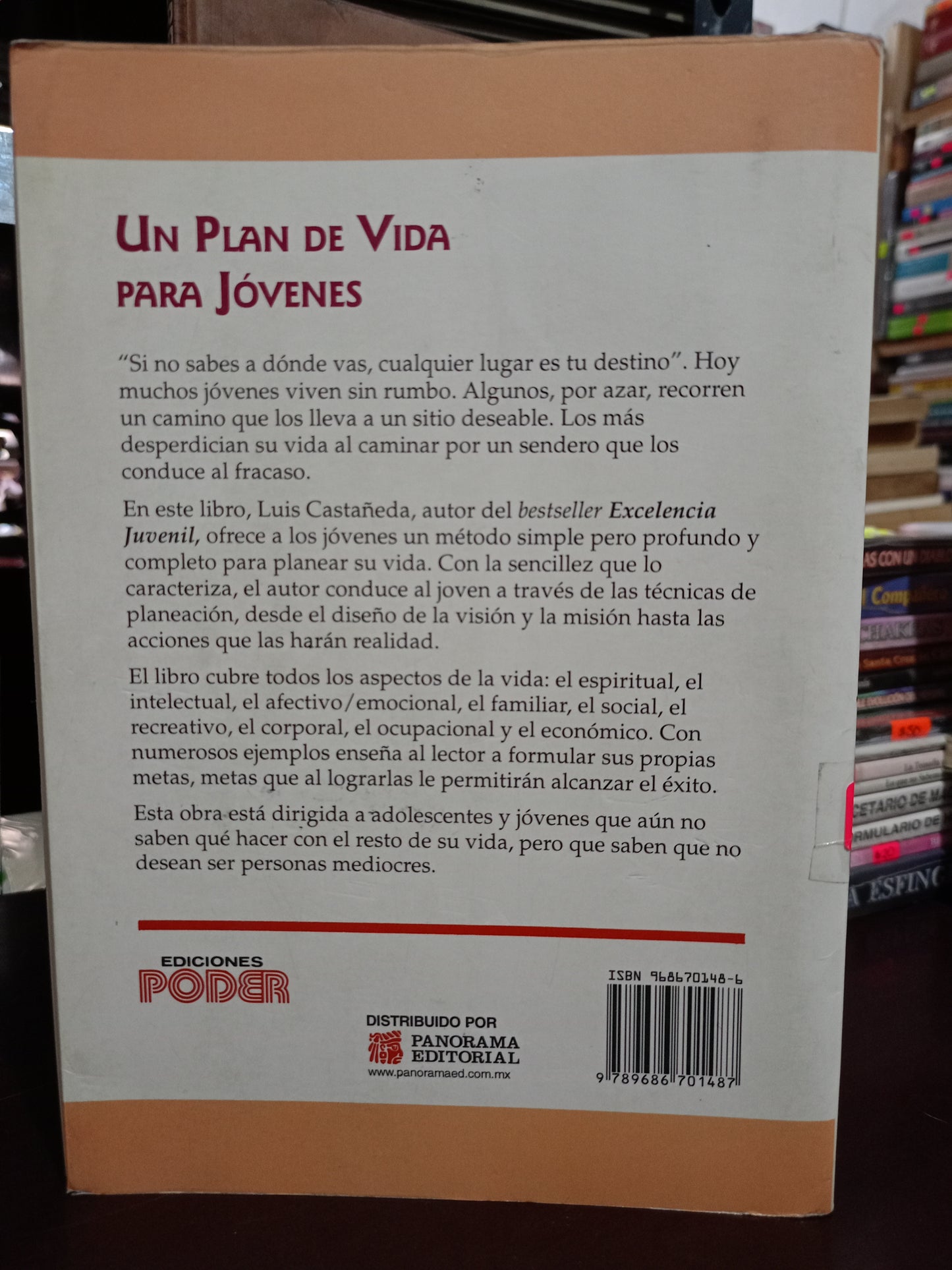 UN PLAN DE VIDA PARA JÓVENES POR LUIS CASTAÑEDA USADO SUPERACIÓN PERSONAL LITERARIO 305