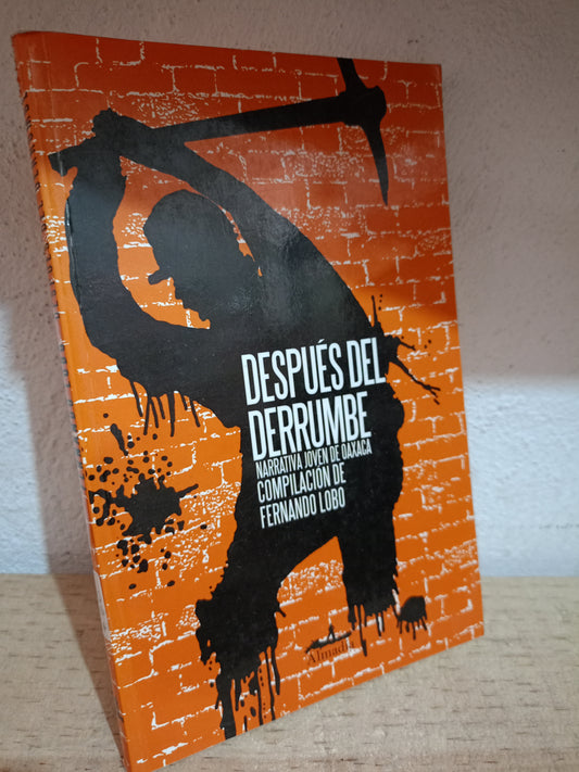 DESPUES DEL DERRUMBE POR FERNANDO LOBO USADO NOVELA LITERARIO 305
