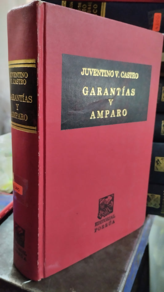GARANTIAS Y AMPARO POR JUVENTINO V CASTRO LIBRO USADO DERECHO ALDAMA