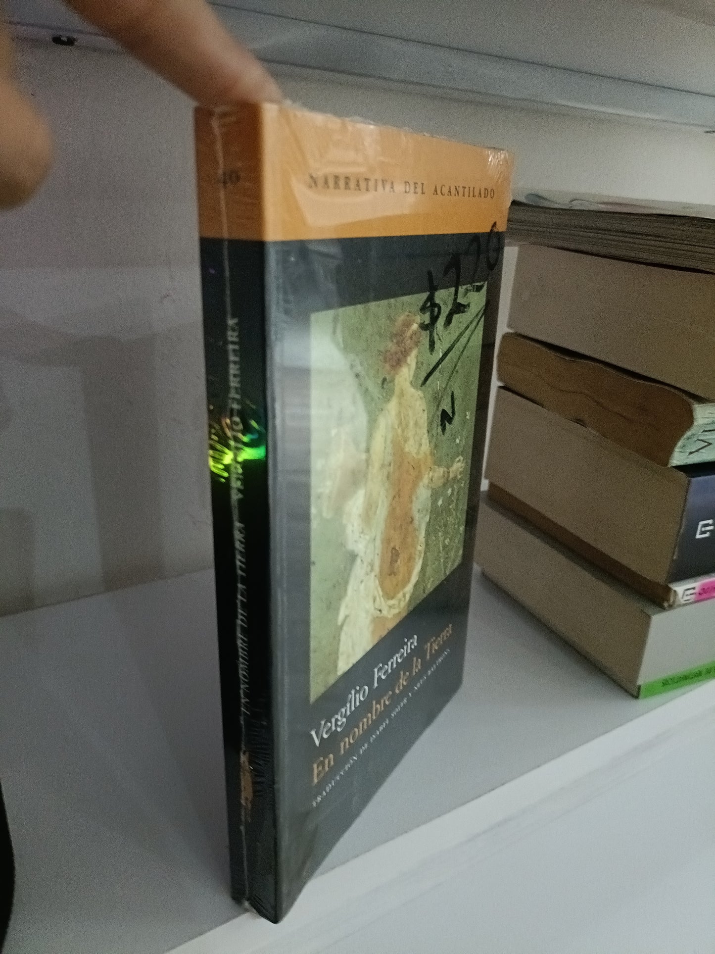 EN NOMBRE DE LA TIERRA POR VIRGILIO FERREIRA USADOS NOVELAS JUAREZ 515