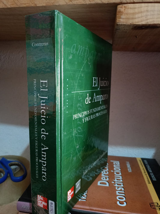 EL JUICIO DE AMPARO PRINCIPIOS FUNDAMENTALES Y FIGURAS PROCESALES POR JULIO C CONTRERAS CASTELLANOS USADO DERECHO LITERARIO 305
