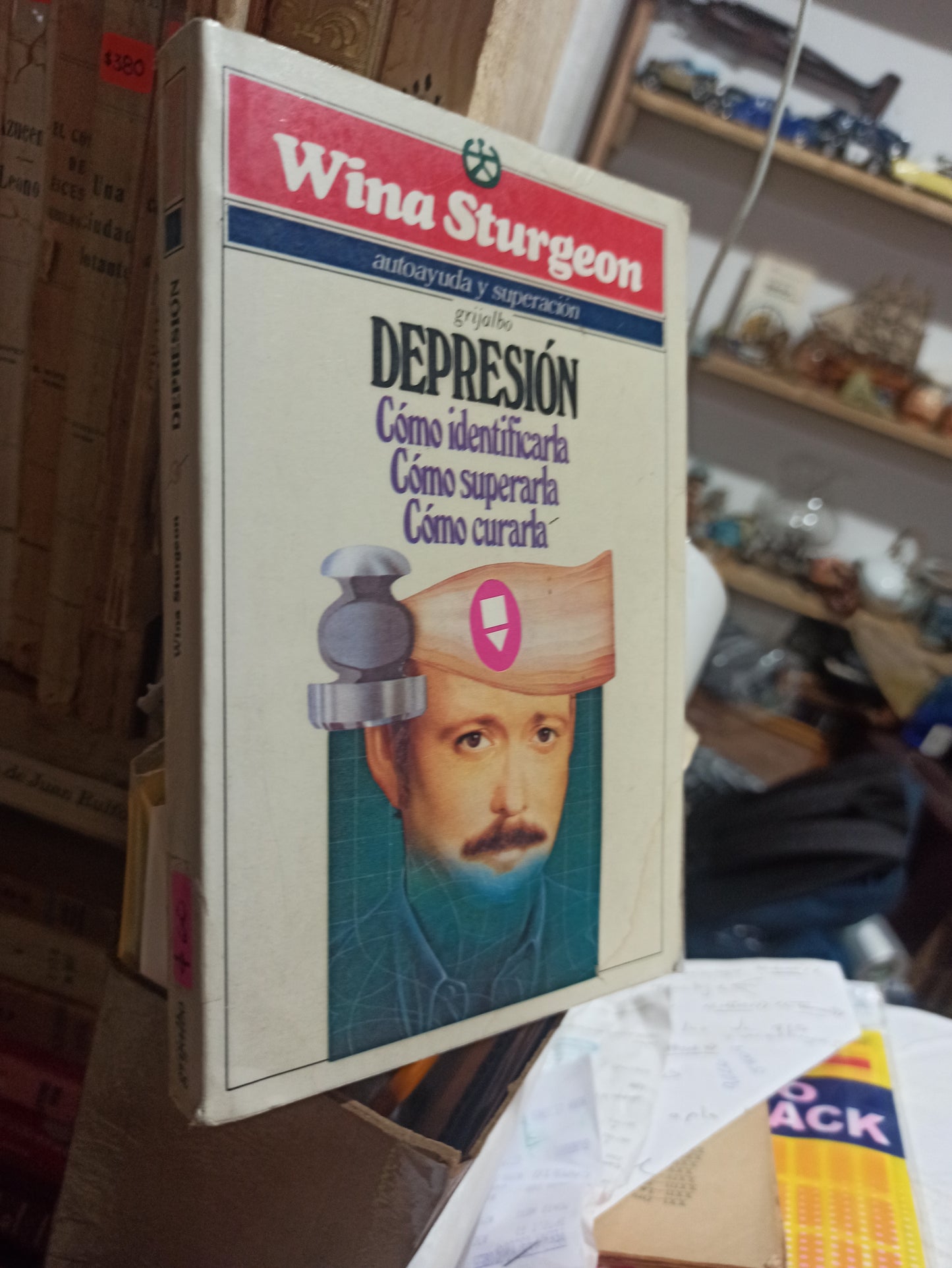 DEPRESIÓN POR WINA STURGEON USADO SUPERACIÓN PERSONAL ALDAMA