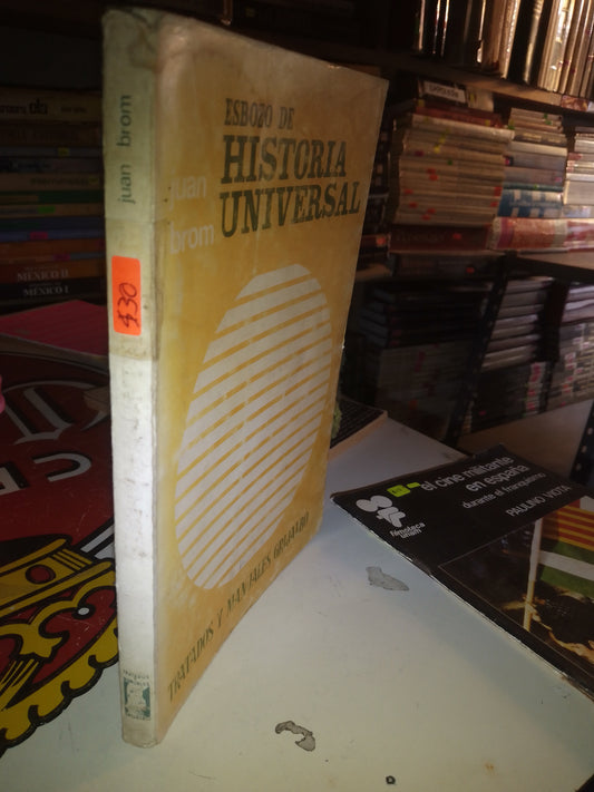 ESBOZO DE HISTORIA UNIVERSAL POR JUAN BROM USADO HISTORIA LITERARIO 207