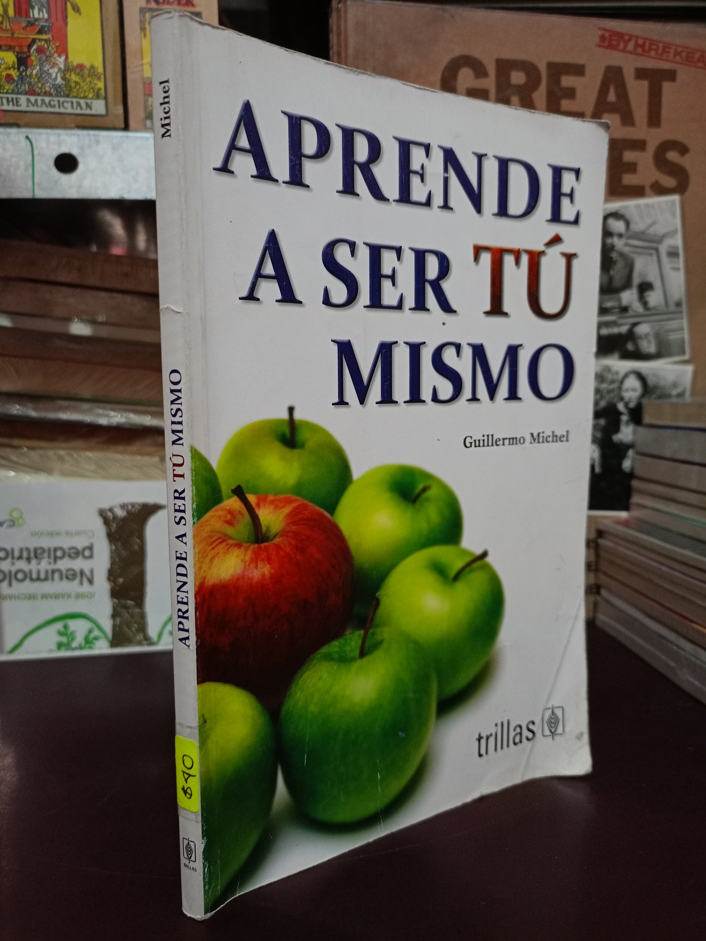 APRENDE A SER TÚ MISMO POR GUILLERMO MICHEL USADO SUPERACIÓN PERSONAL LITERARIO 305