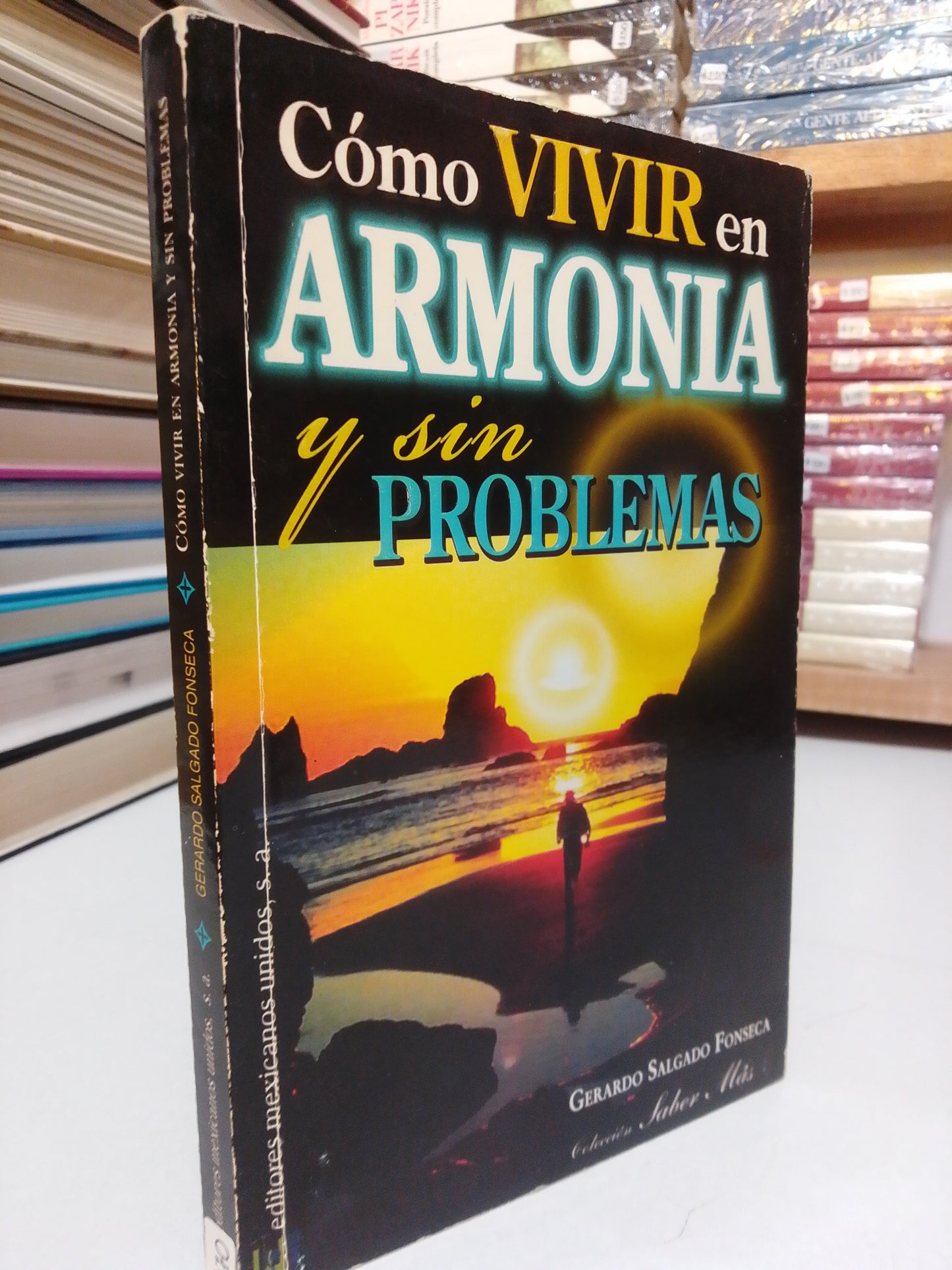 CÓMO VIVIR EN ARMONÍA Y SIN PROBLEMAS POR GERARDO SALGADO FONSECA USADO SUP.PERSONAL JUÁREZ