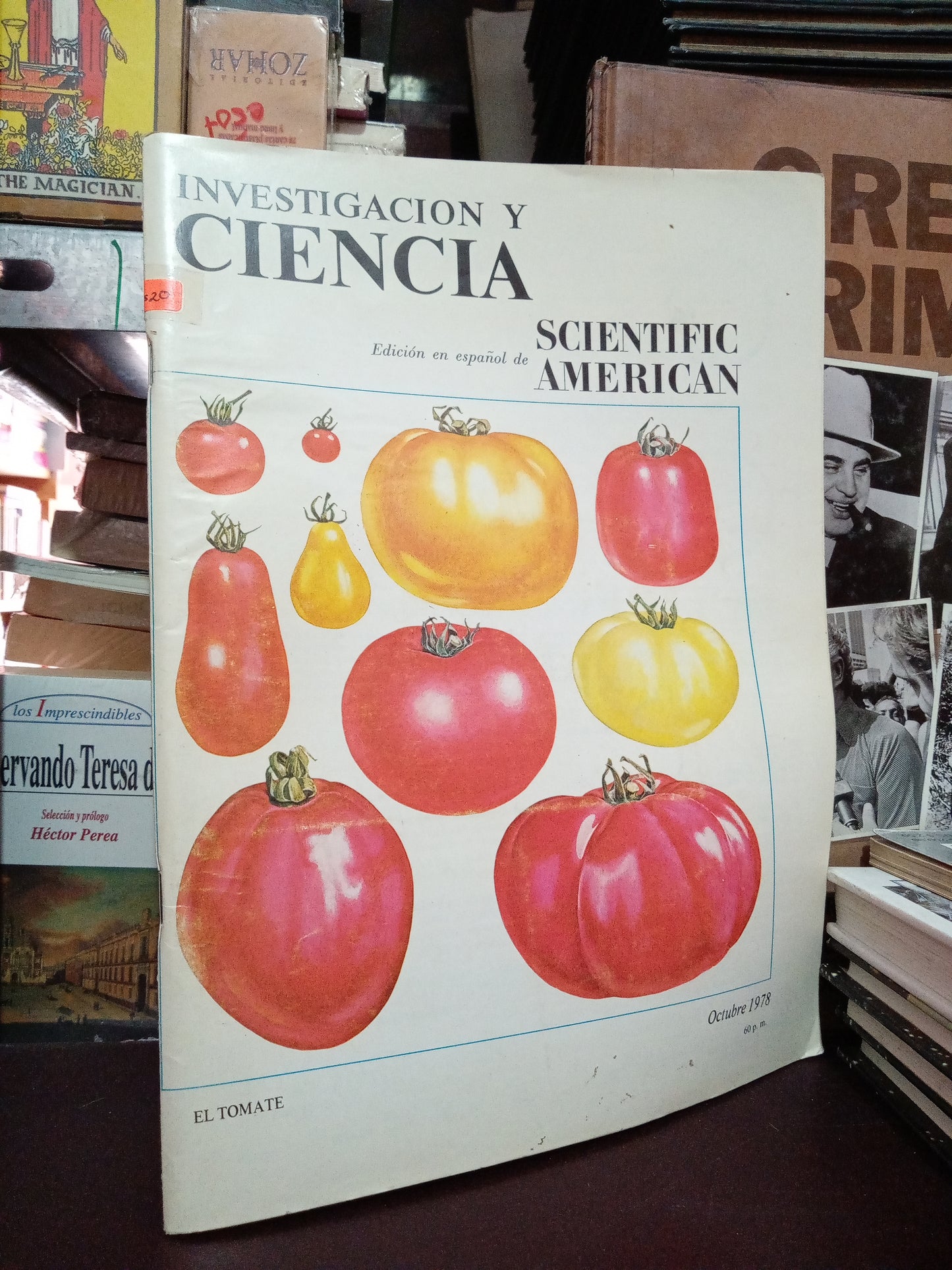INVESTIGACIÓN Y CIENCIA USADO CIENCIA LITERARIO 305