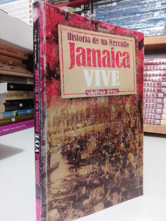 HISTORIA DE UN MERCADO JAMAICA VIVE POR VALENTINA ORTIZ USADO HISTORIA JUAREZ