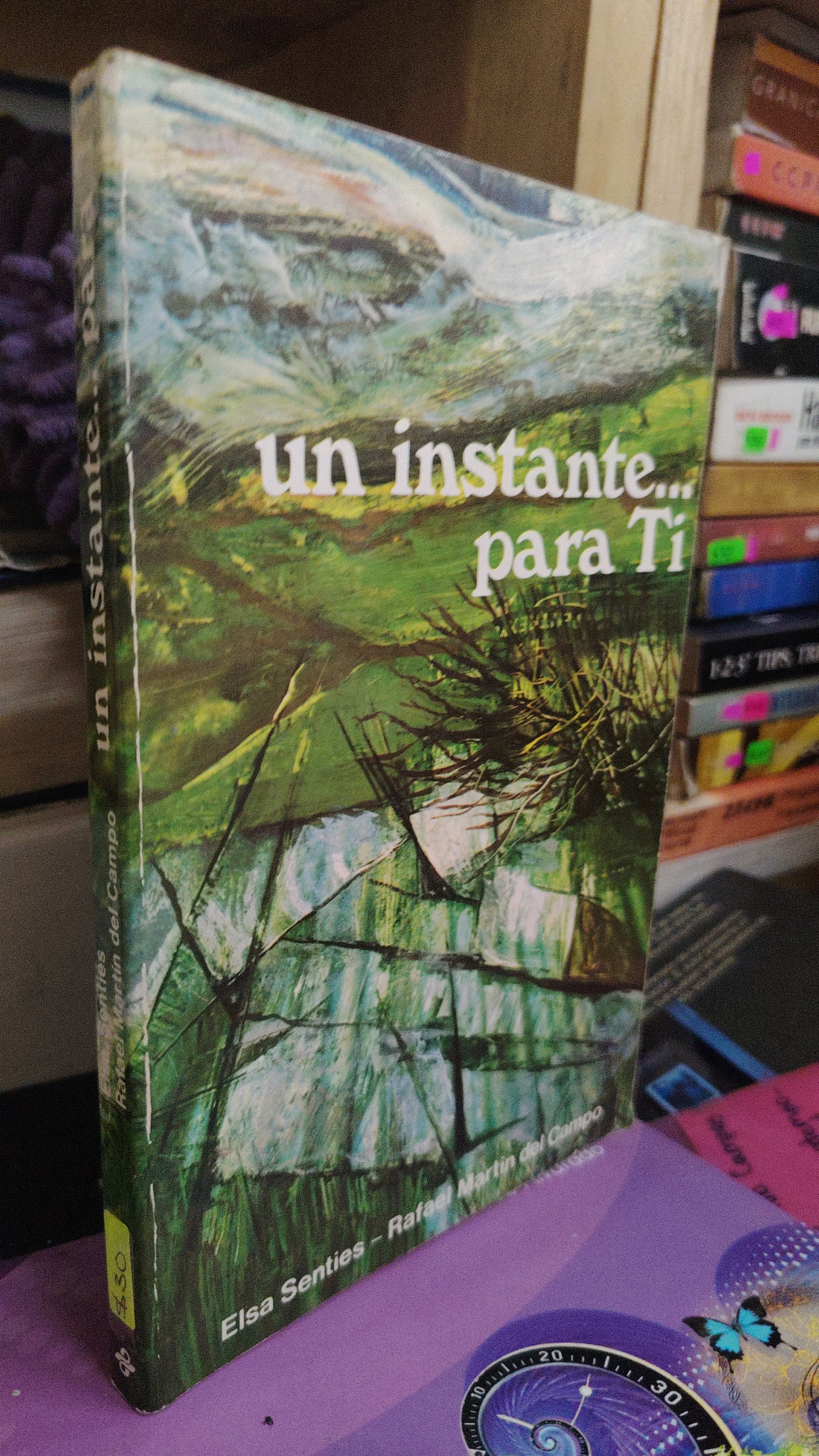 UN INSTANTE... PARA TI POR ELSA SENTIES Y RAFAEL MARTIN DEL CAMPO USADO SUPERACIÓN PERSONAL LITERARIO 207